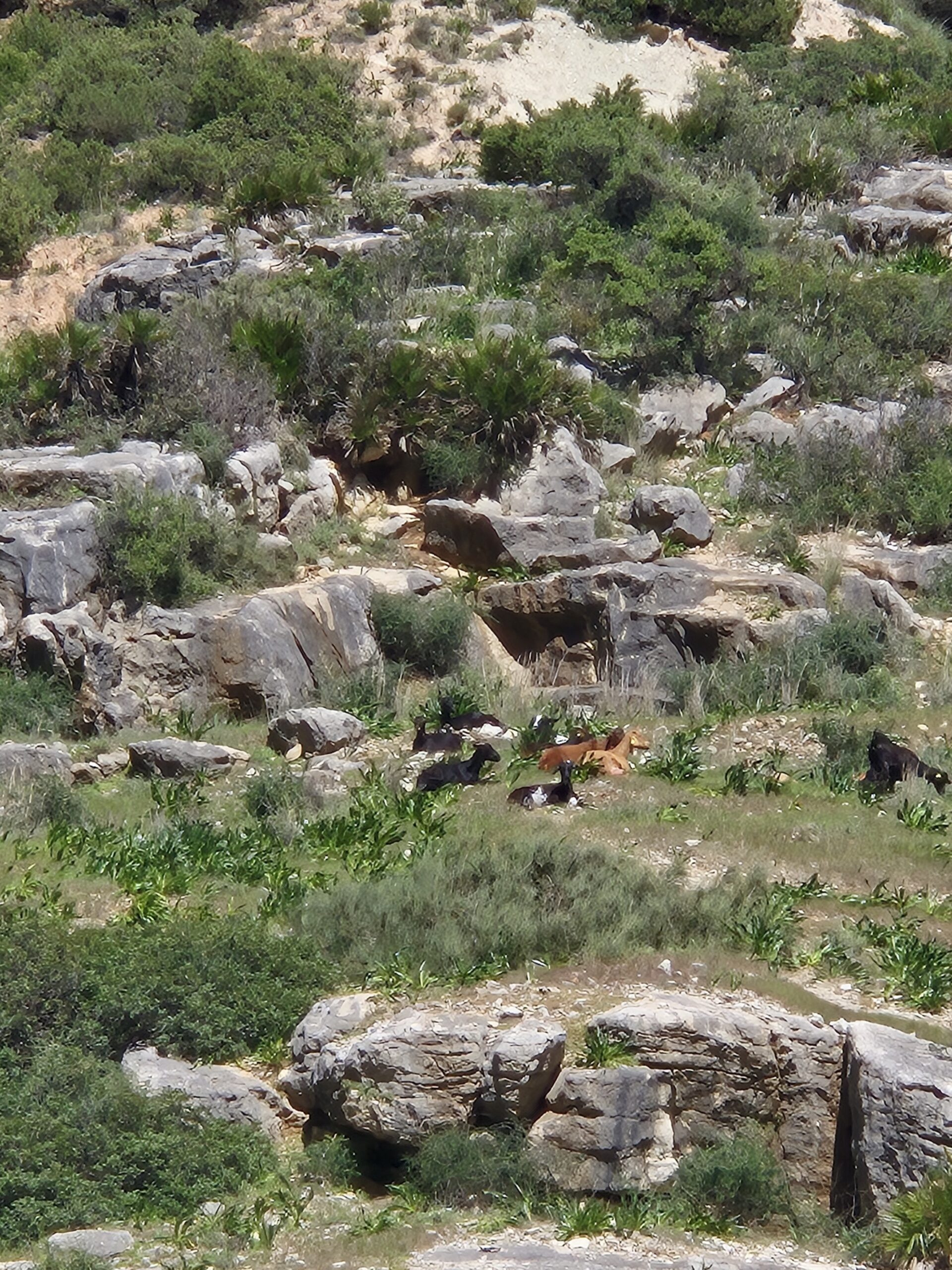 Ekskursija su gidu Caminito del Rey