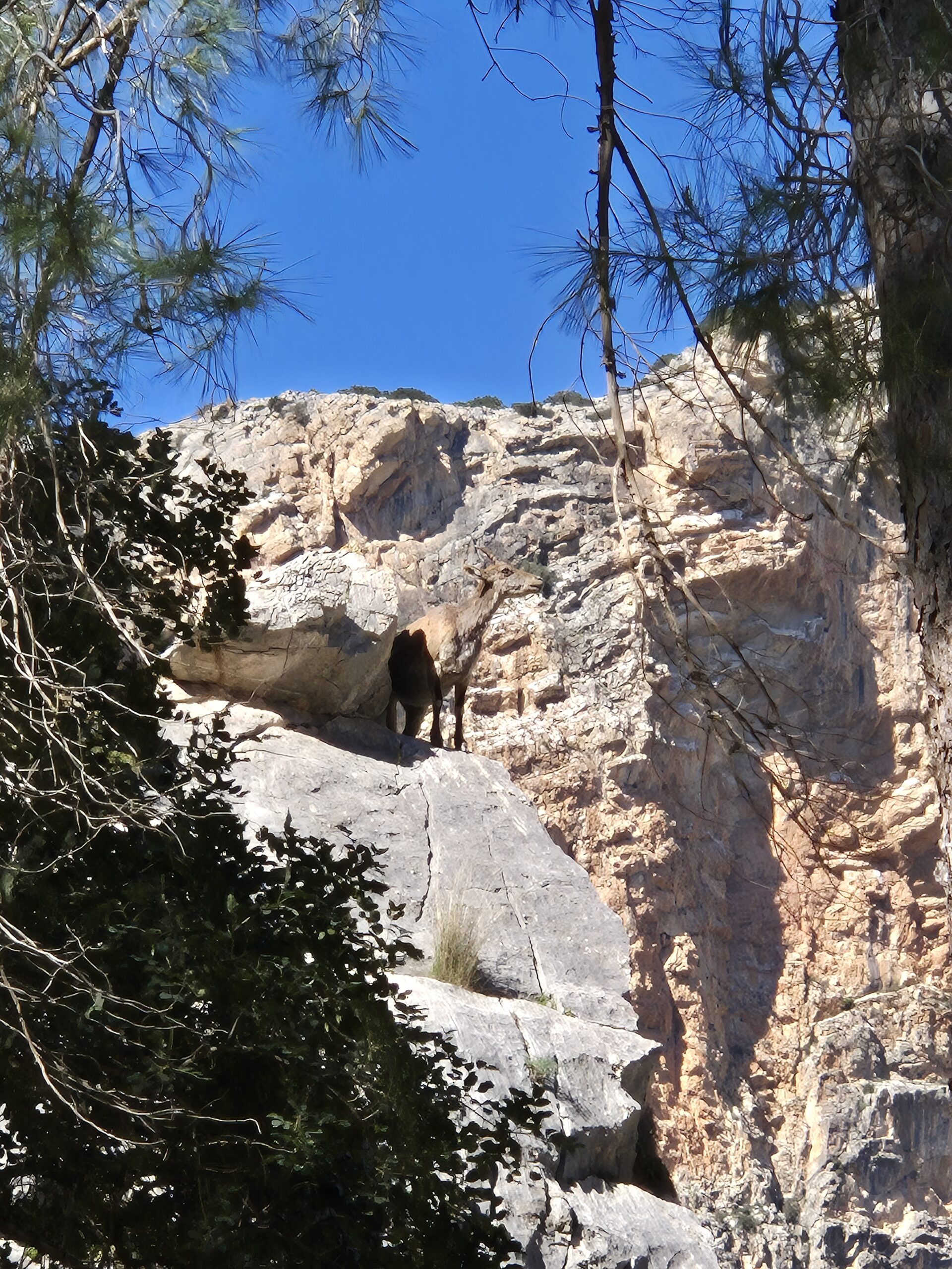 Ekskursija su gidu Caminito del Rey