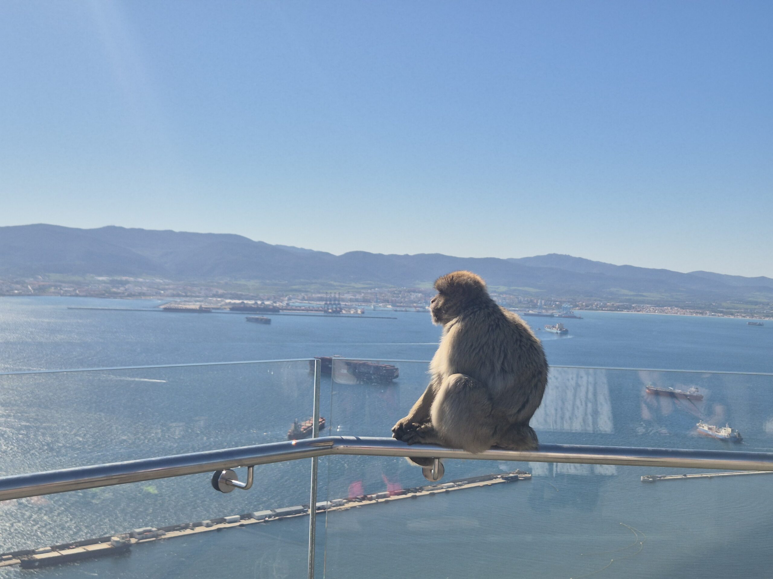 Gibraltare su vaikais