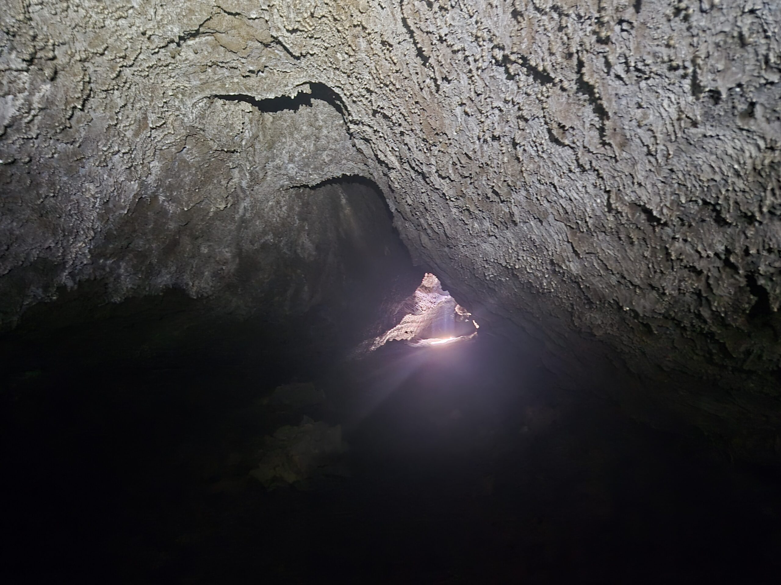 Cueva de las Palomas