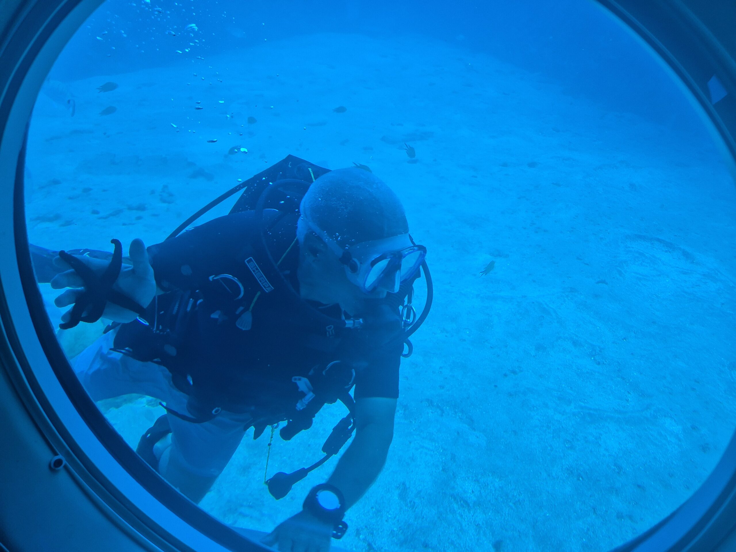 Submarine Safari