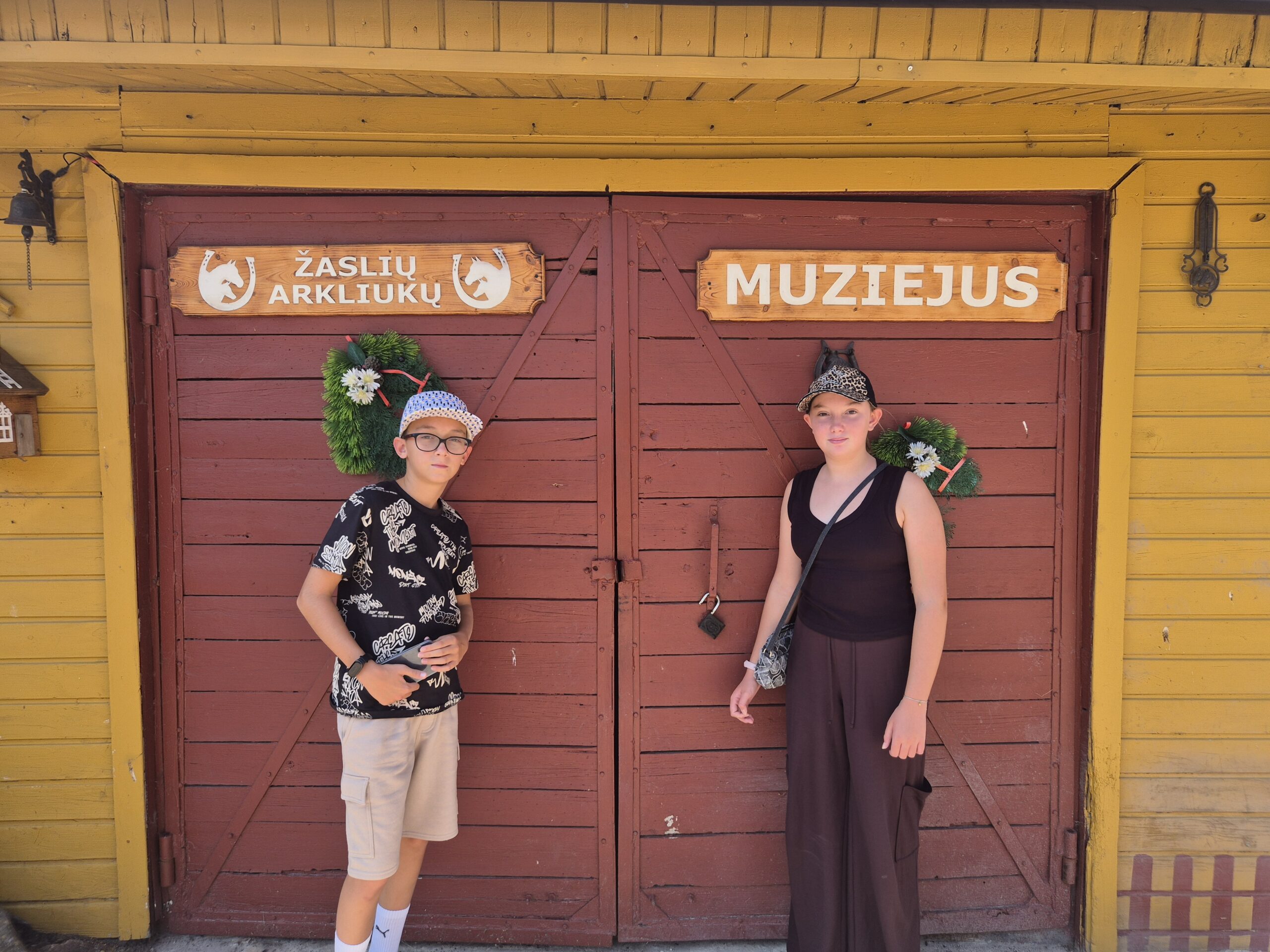 Žaslių arkliukai