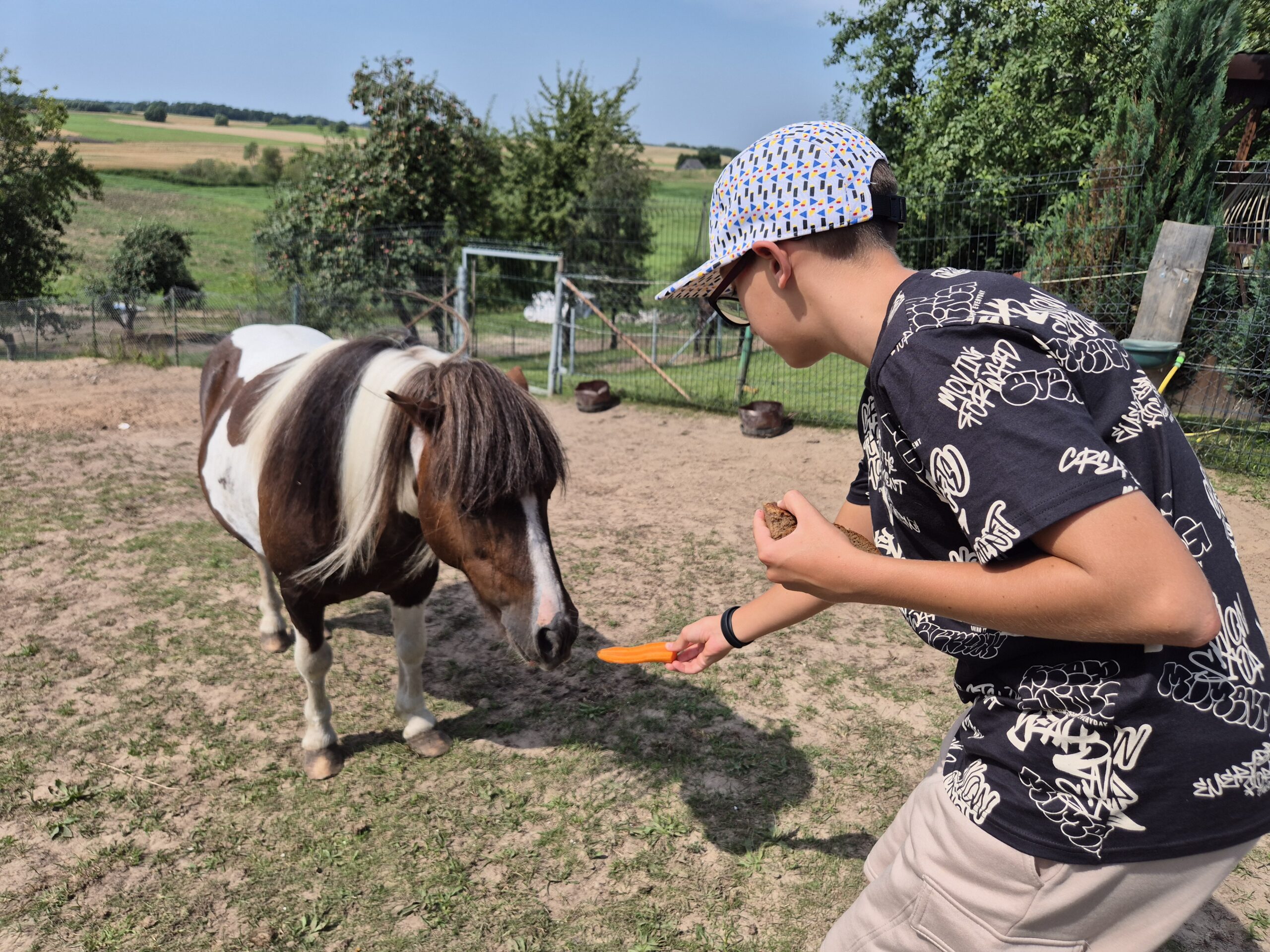 Pažintis su arkliais ir poniukais