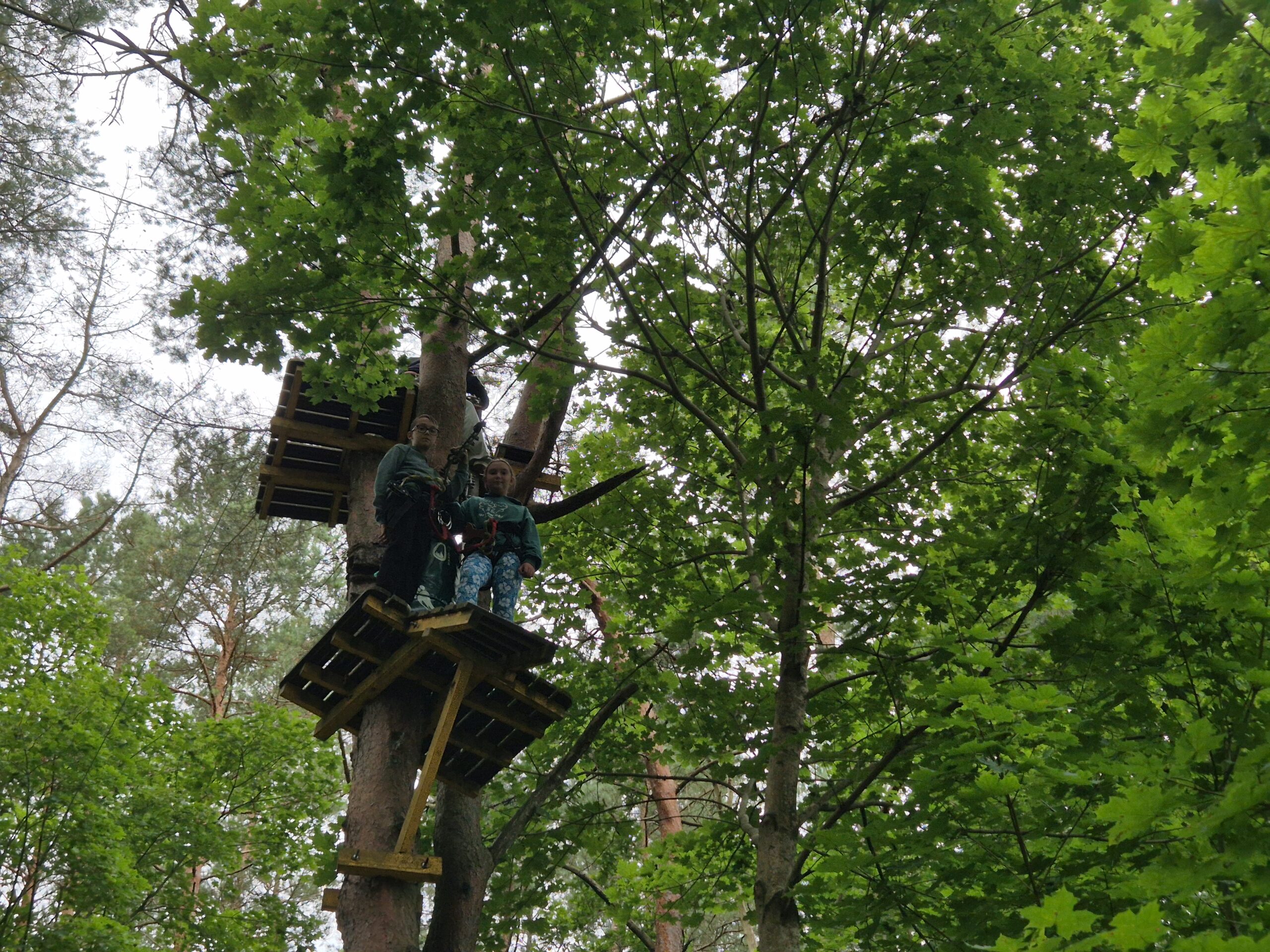 Miškas Park – laipynės medžių viršūnėse