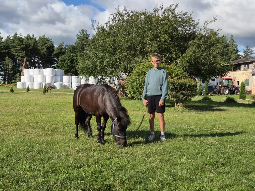 Horse and Rider jojimo mokykla