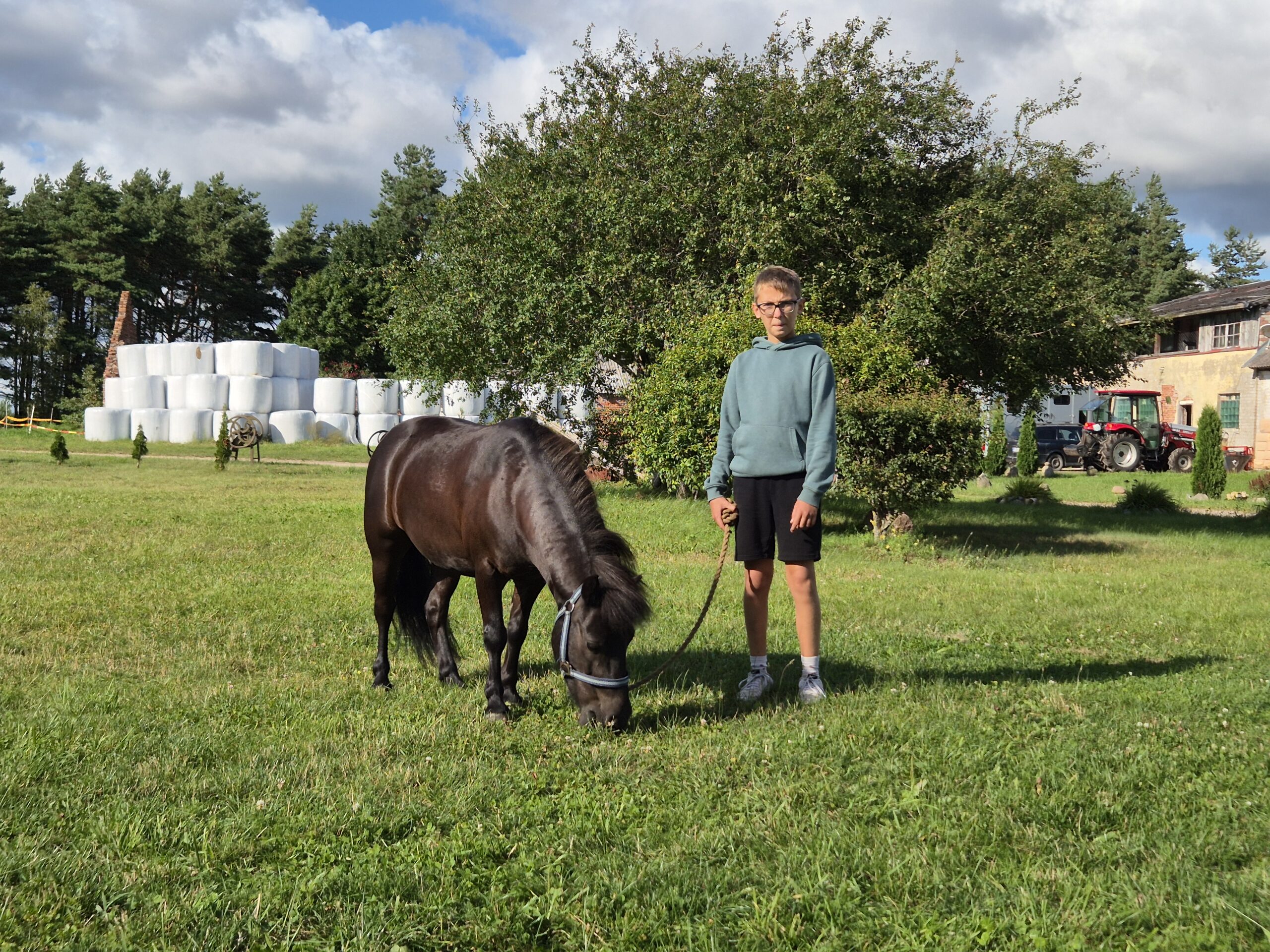 Horse and Rider jojimo mokykla