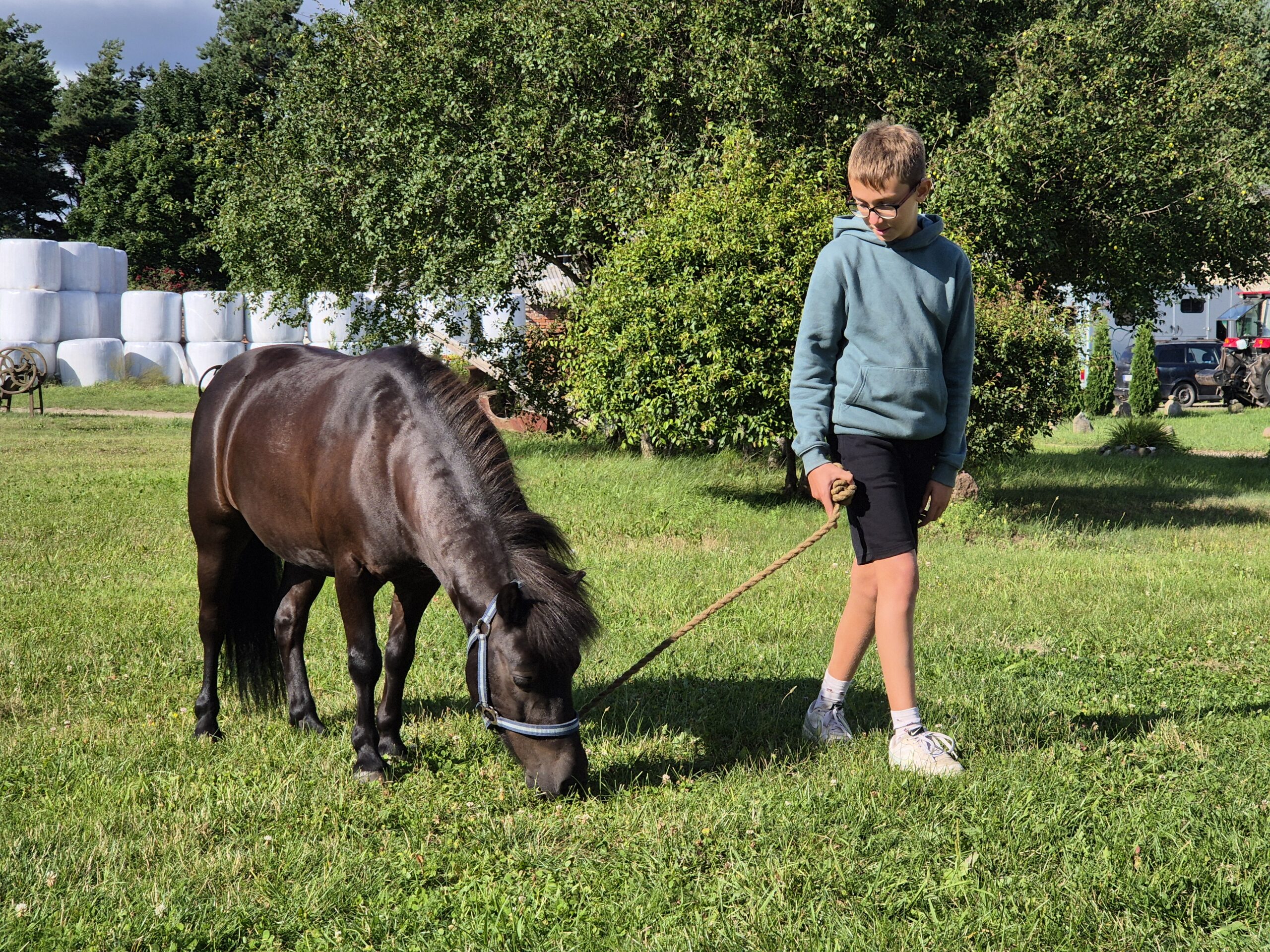 Horse and Rider jojimo mokykla