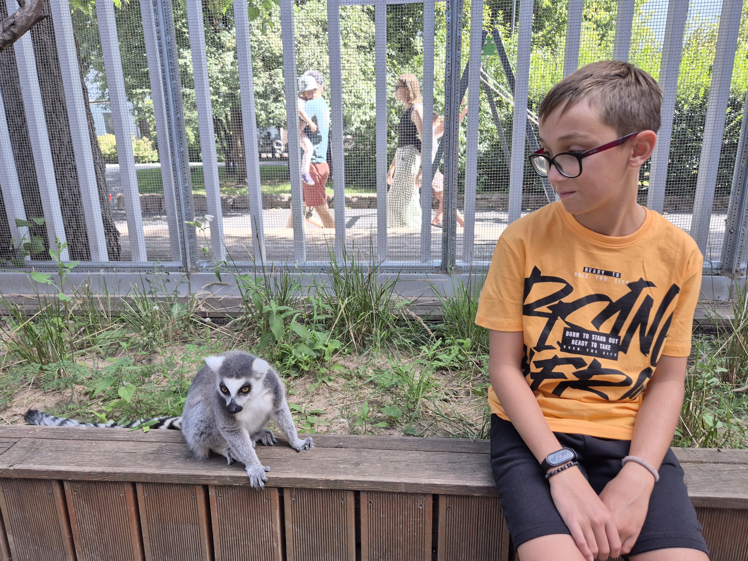 Būrelis Vilniaus Zooparke