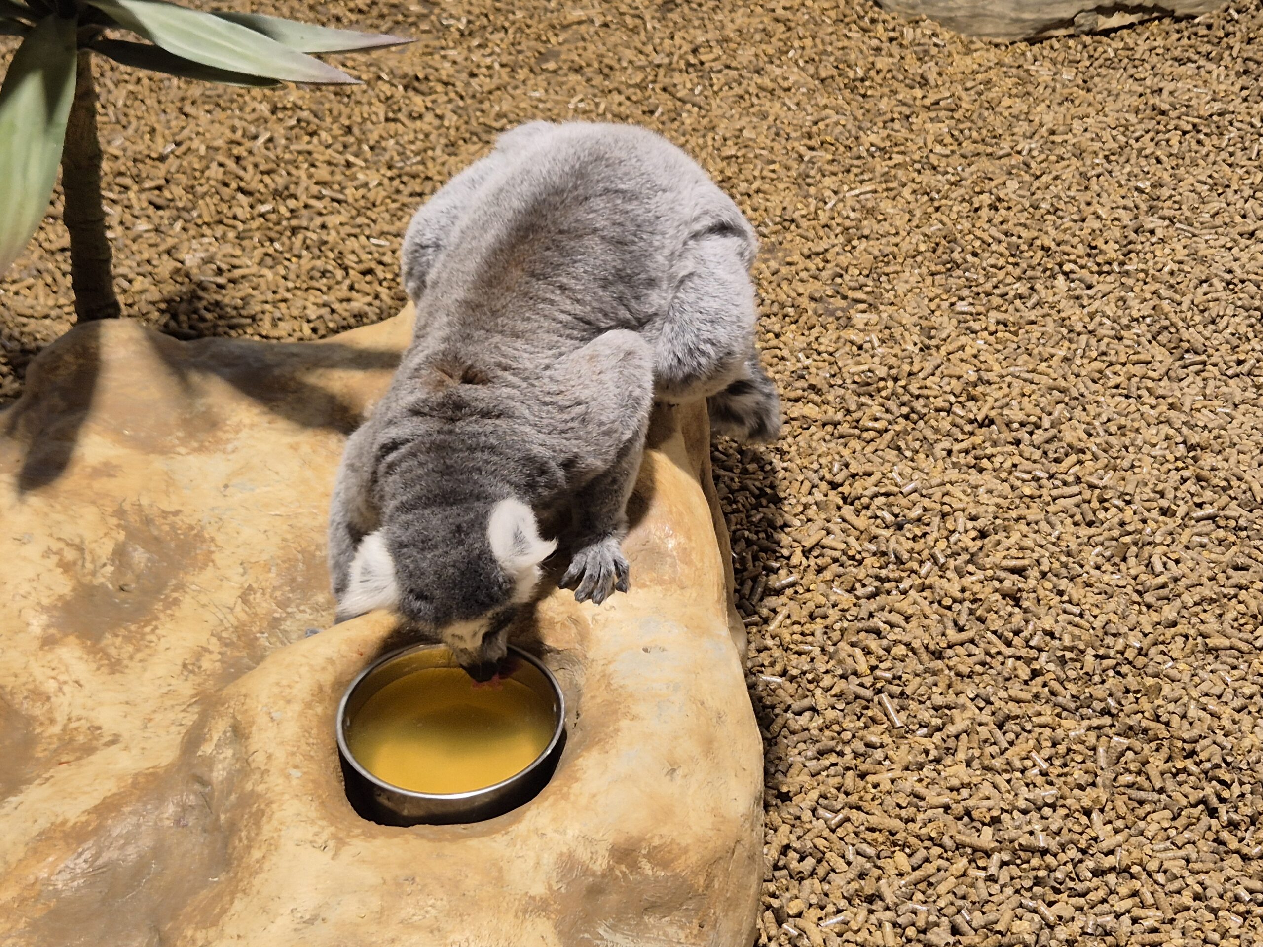Edukacijos Zoopark Vilnius: dar daugiau Kultūros paso veiklų moksleiviams