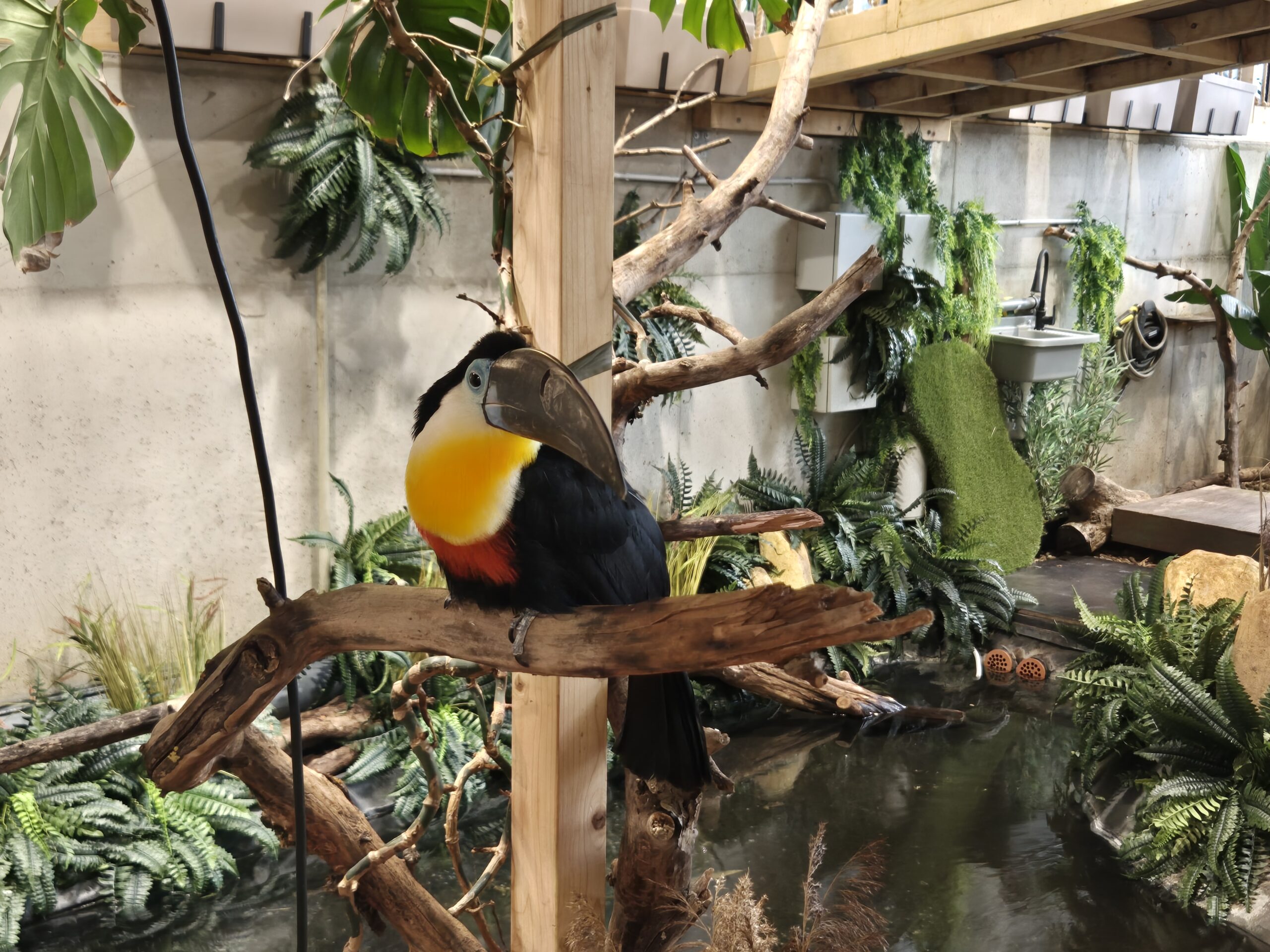 Zoopark Vilnius