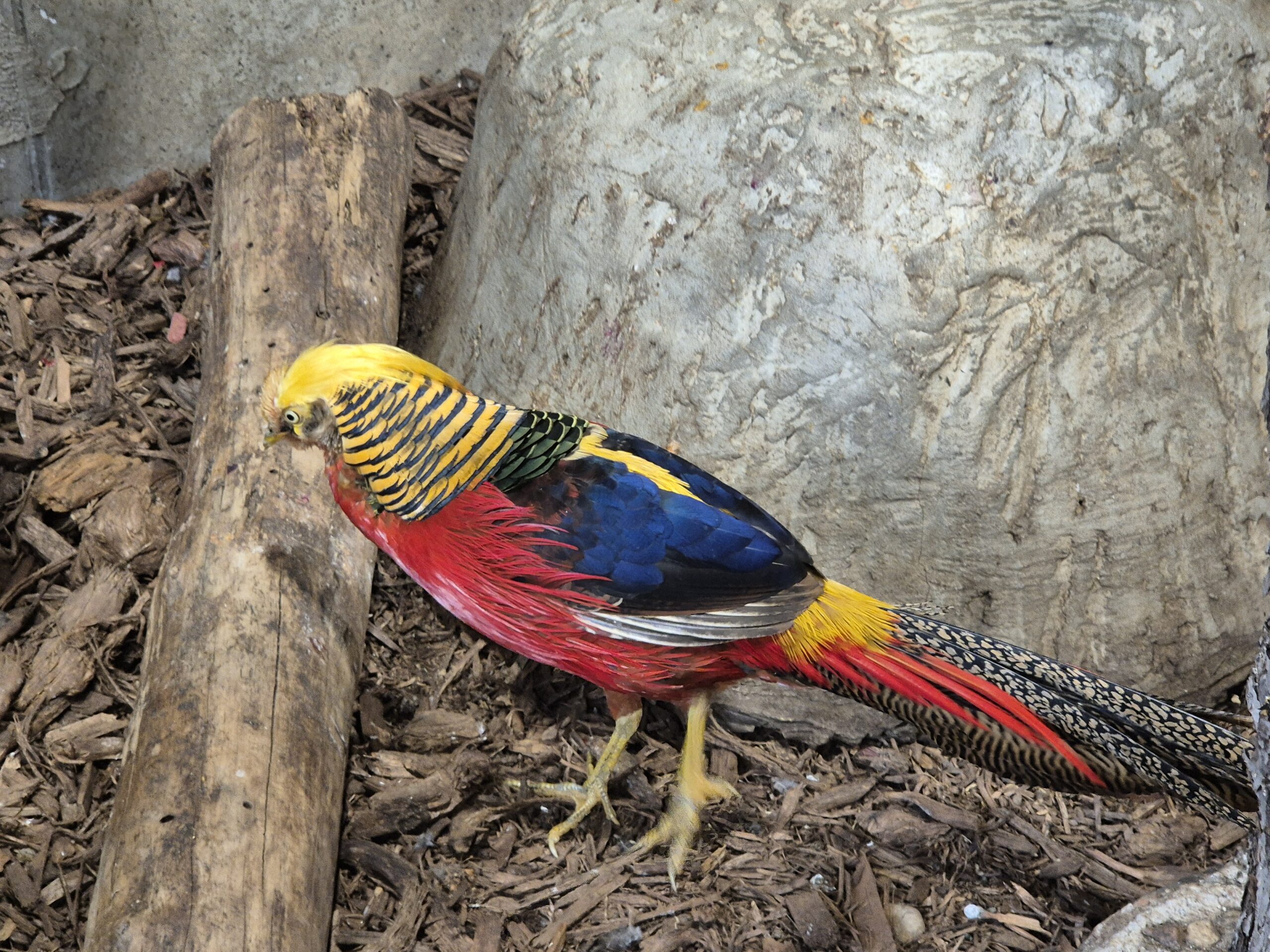 Zoopark Vilnius
