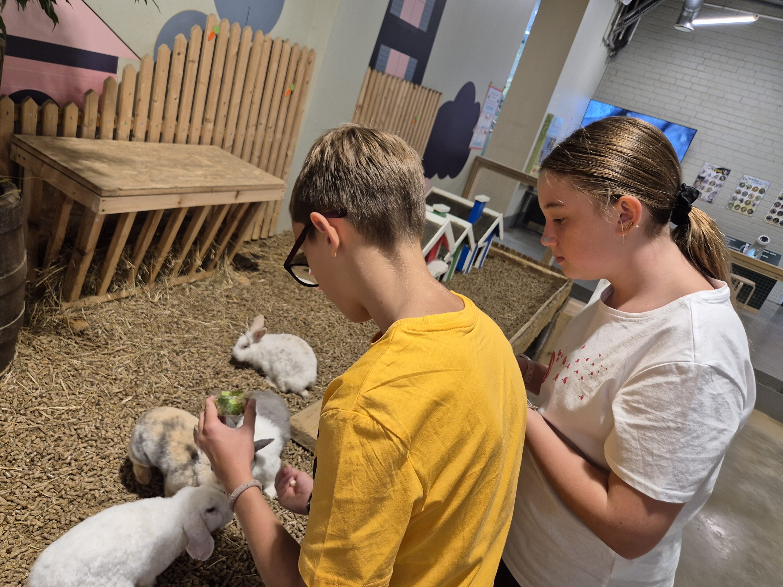 Būrelis vaikams tikrame zoologijos sode