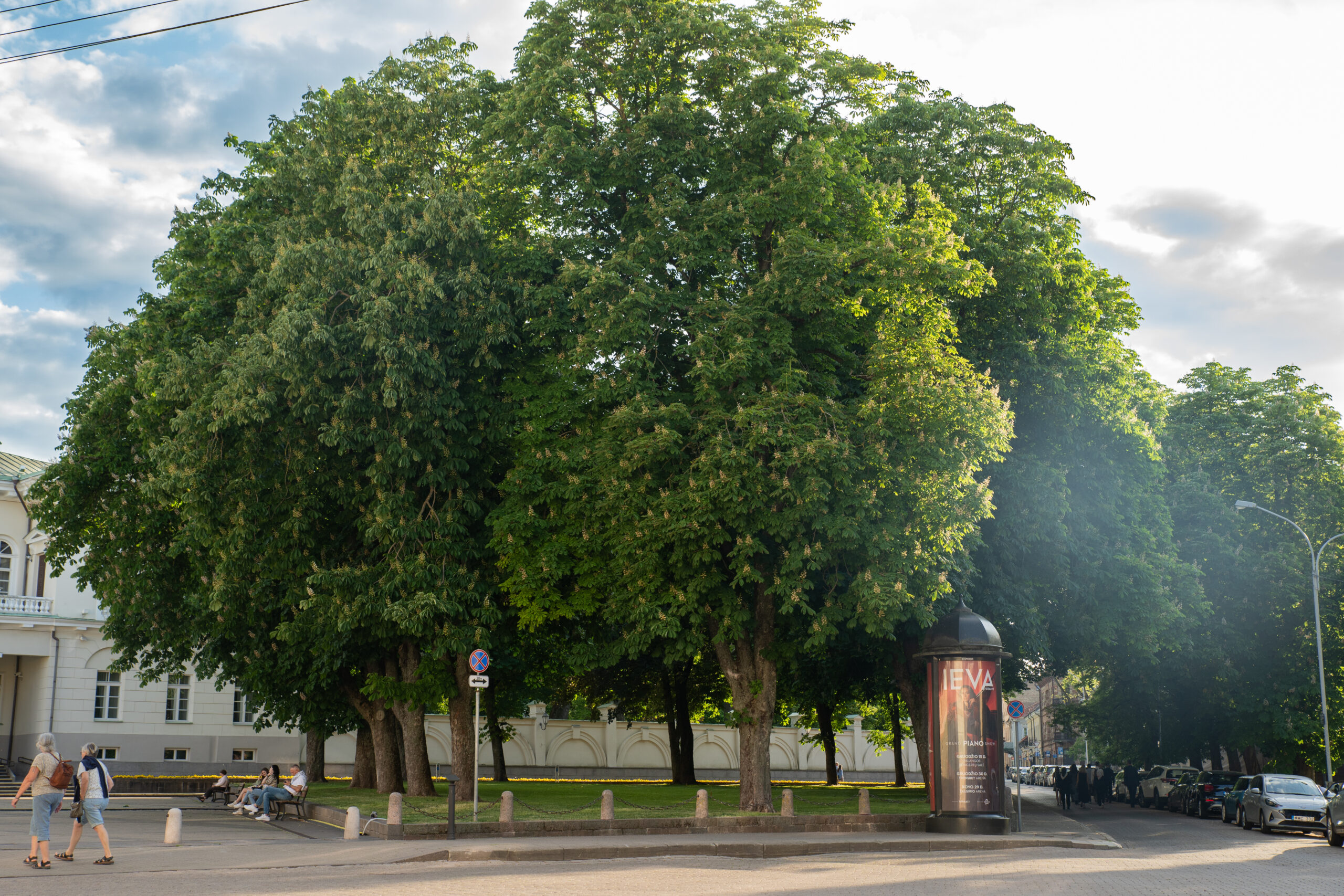 Vyskupų / Goštautų sodas (nuotr. Neakivaizdinis Vilnius)