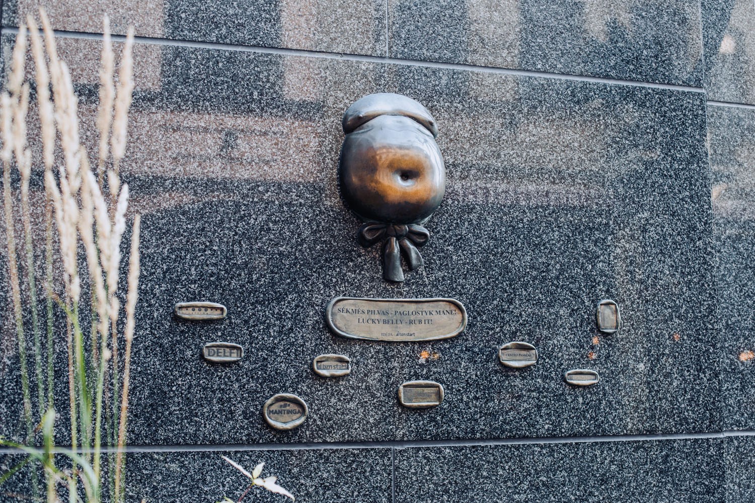 Sėkmės pilvas Vilniuje (nuotr. GO Vilnius)