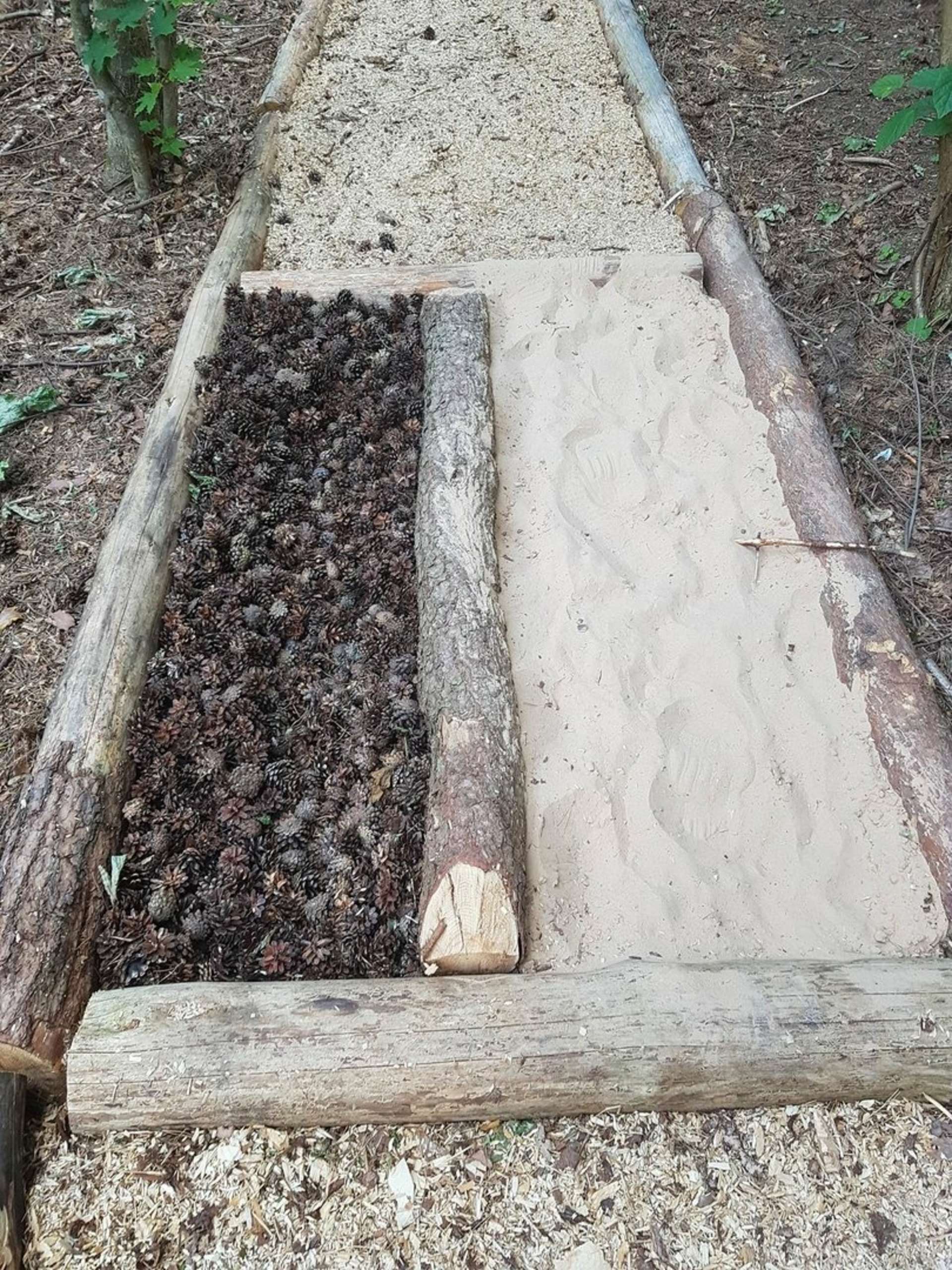 Anykščių šilelio pažintinis eko basų kojų takas