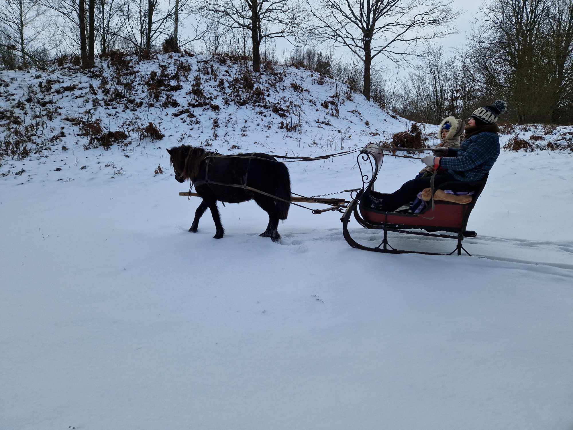 Šeimos ūkis JUODOJI GRAŽUOLĖ 