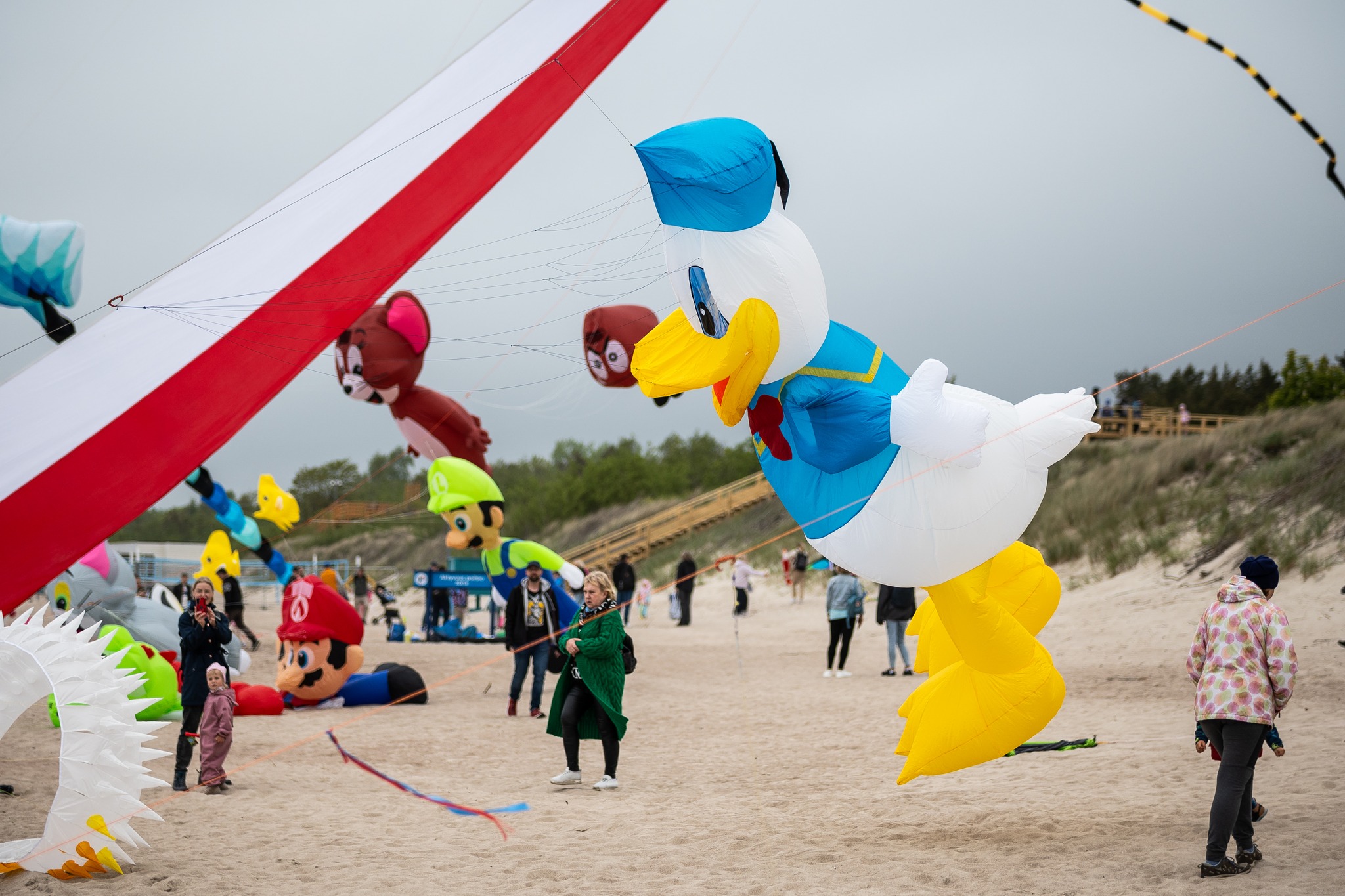 Aitvarų festivalis „Vėjų vėjai“ Klaipėdoje (Klaipėdos šventės nuotr.)