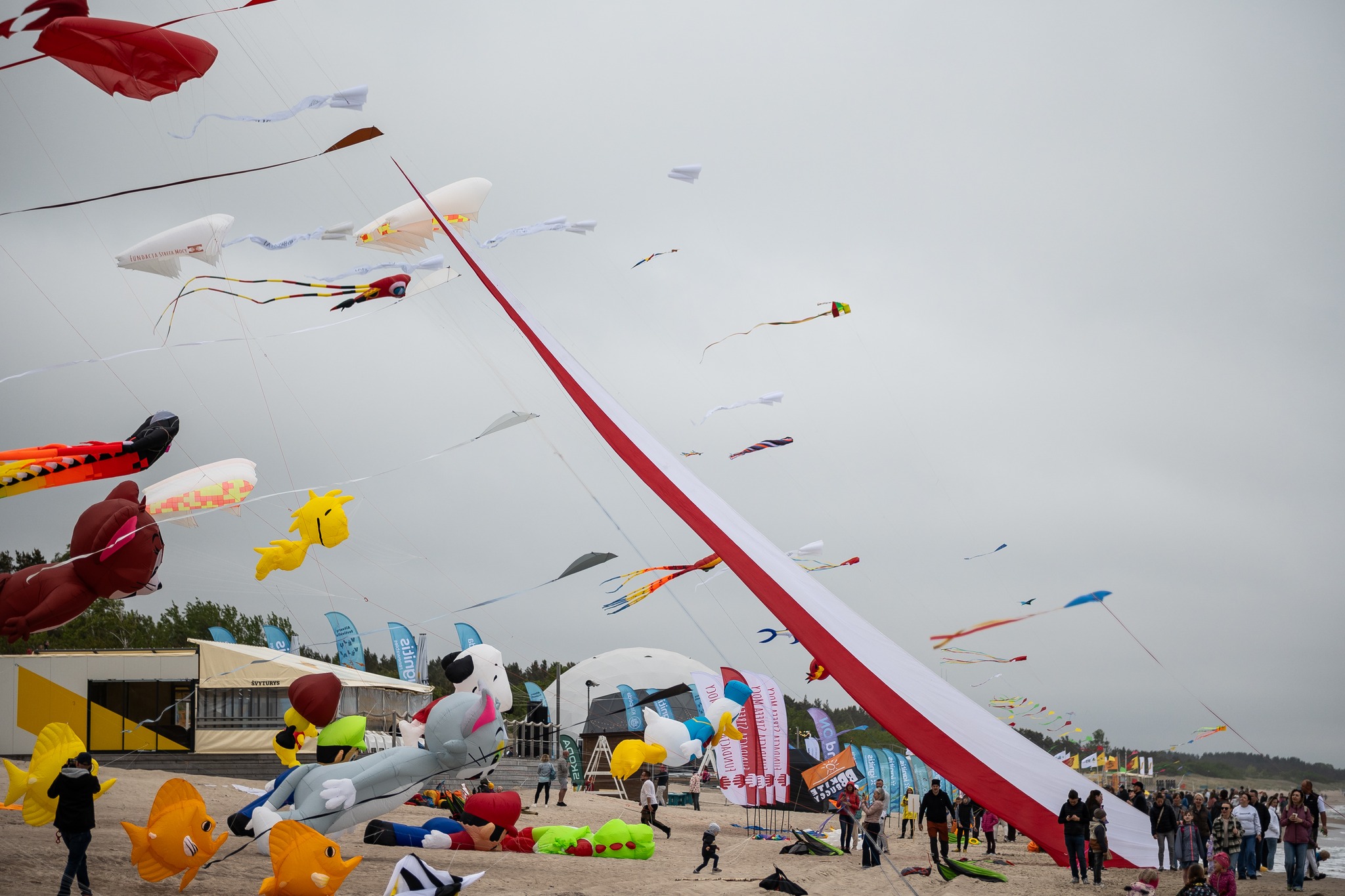 Aitvarų festivalis „Vėjų vėjai“ Klaipėdoje (Klaipėdos šventės nuotr.)