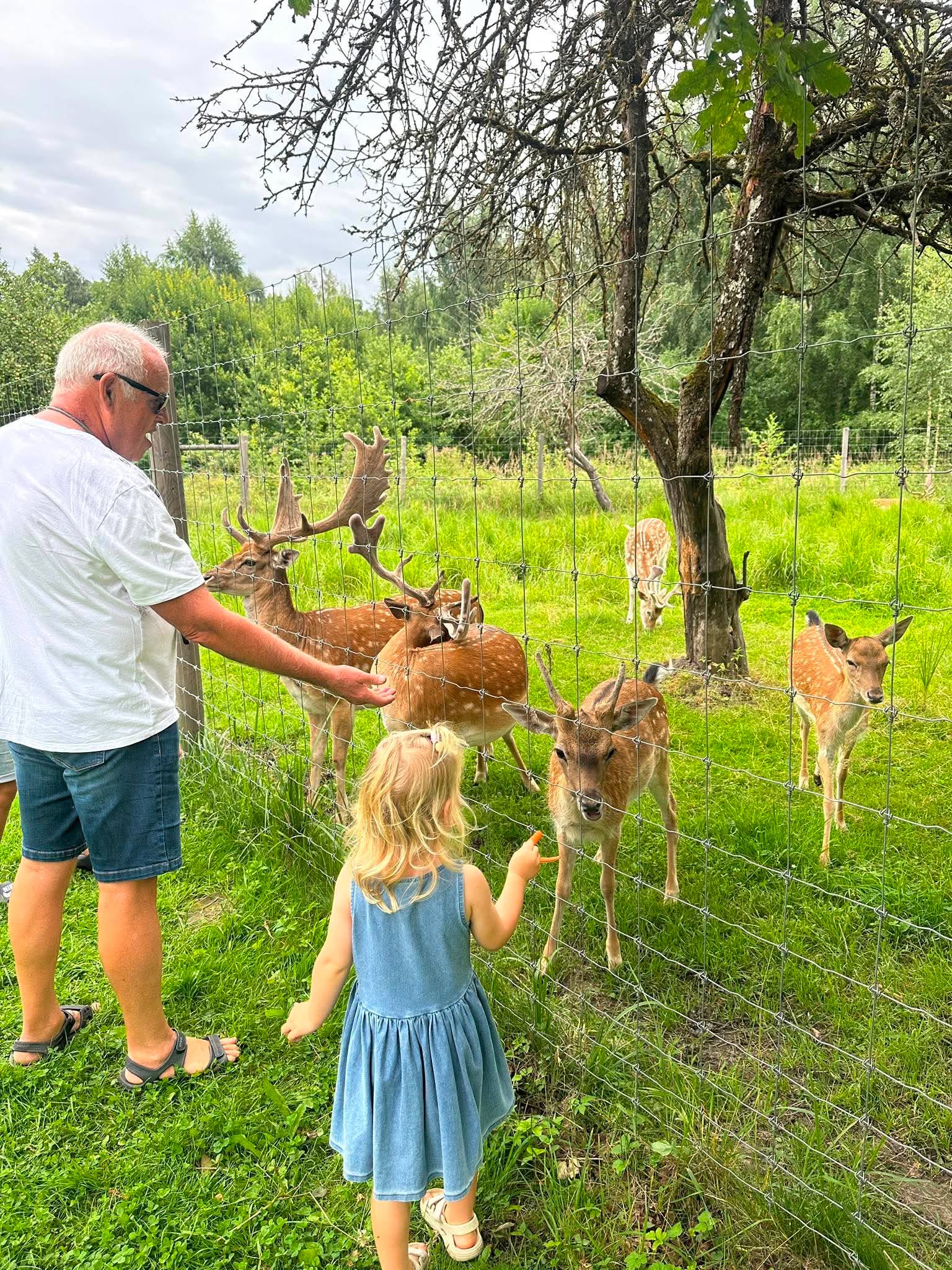 Rokiškio dvaro gyvūnai