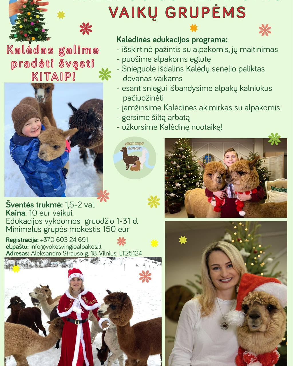 ​„Kalėdos kitaip“ Vokės Vingio alpakų ūkyje