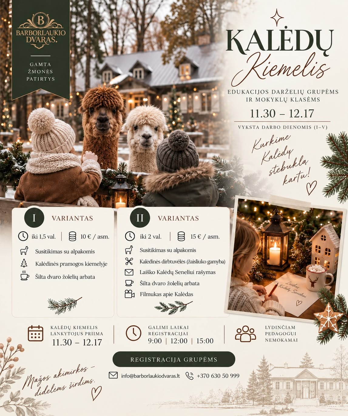 Barborlaukio dvaro alpakų Kalėdų kiemelis Jonavoje