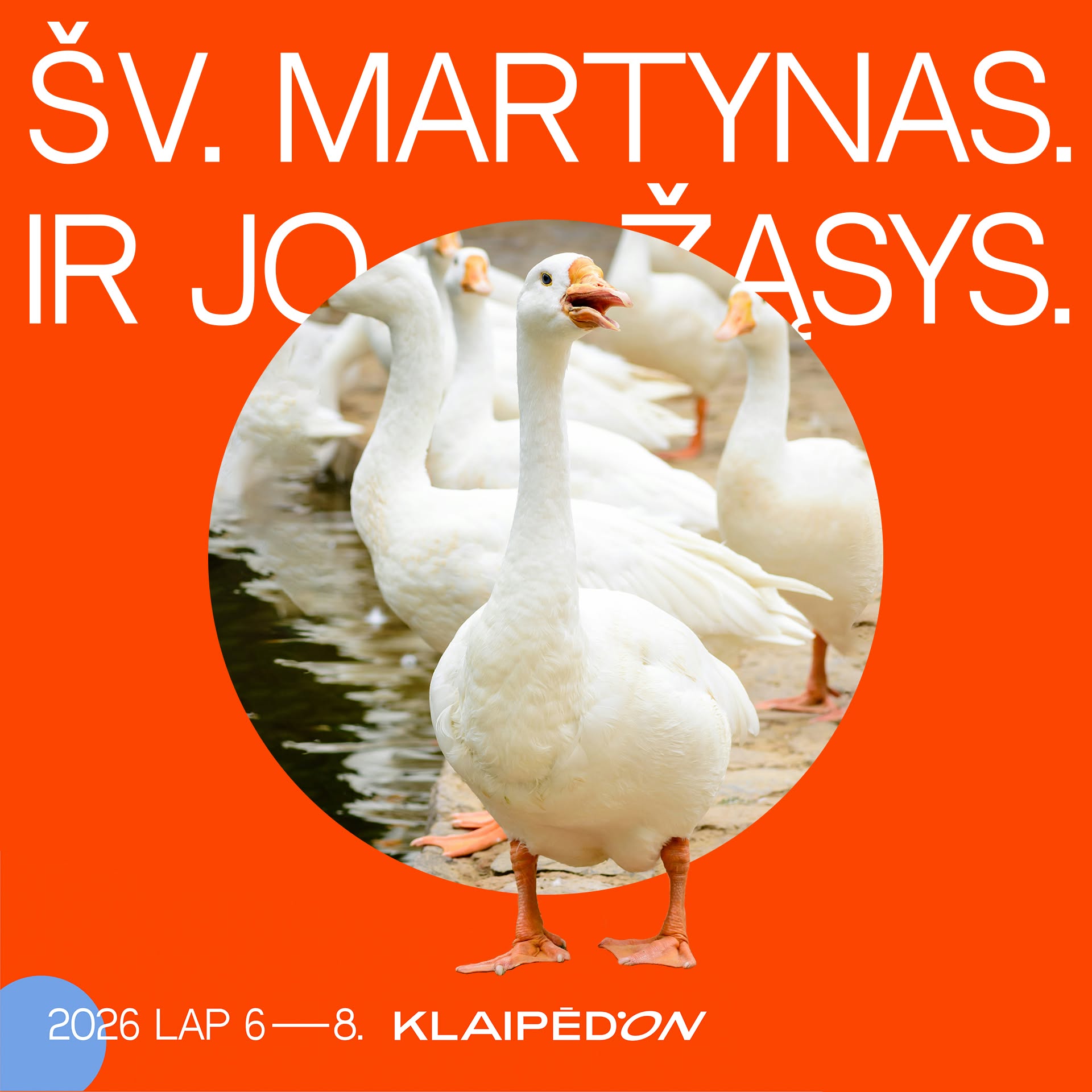 Šv. Martynas ir jo žąsys 2026