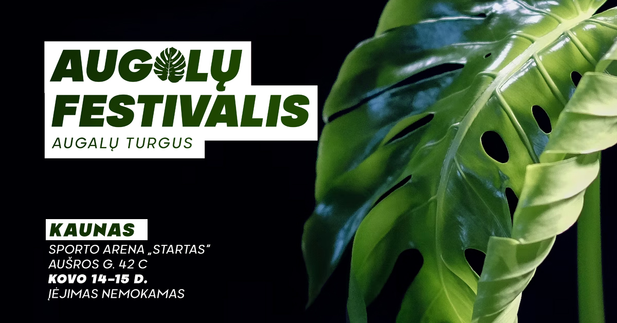 Augalų festivalis Kaune