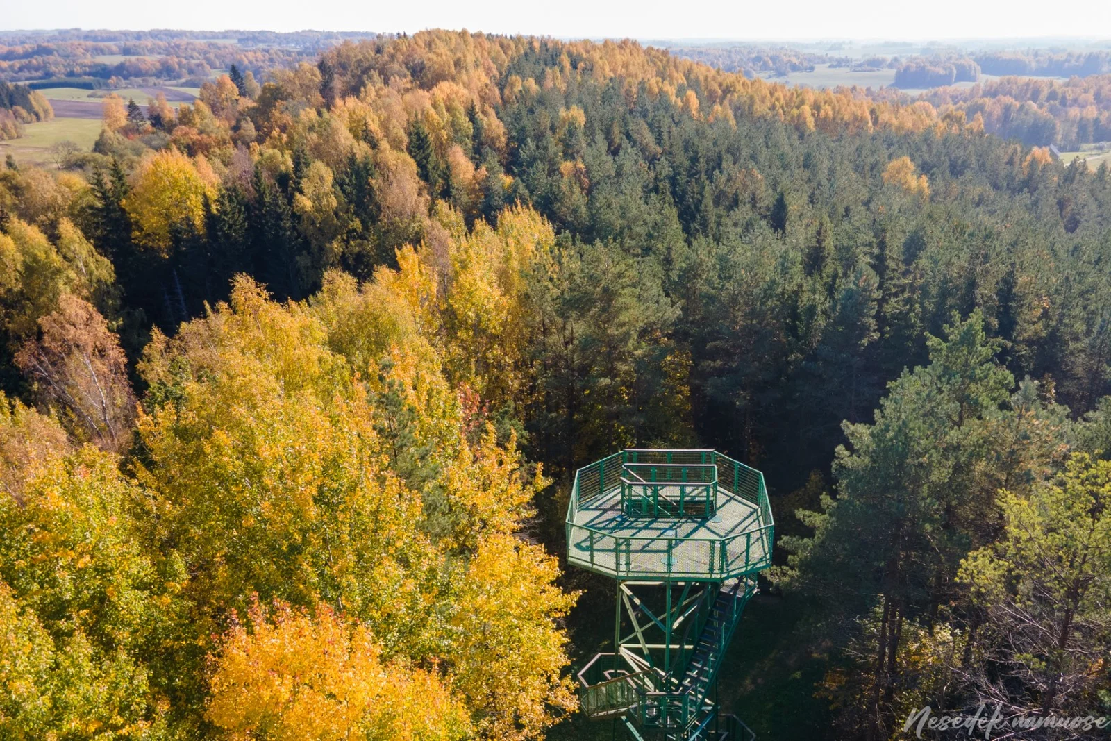 Aukštagirės apžvalgos bokštas (nuotr. iš „Nesėdėk namuose“ svetainės)