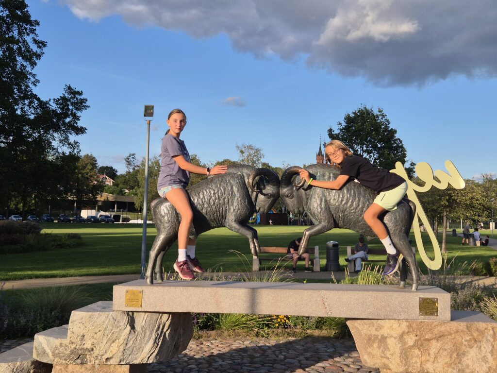 Gyvūnų skulptūros Lietuvoje: nuo paslėptų perliukų iki žymiausių objektų