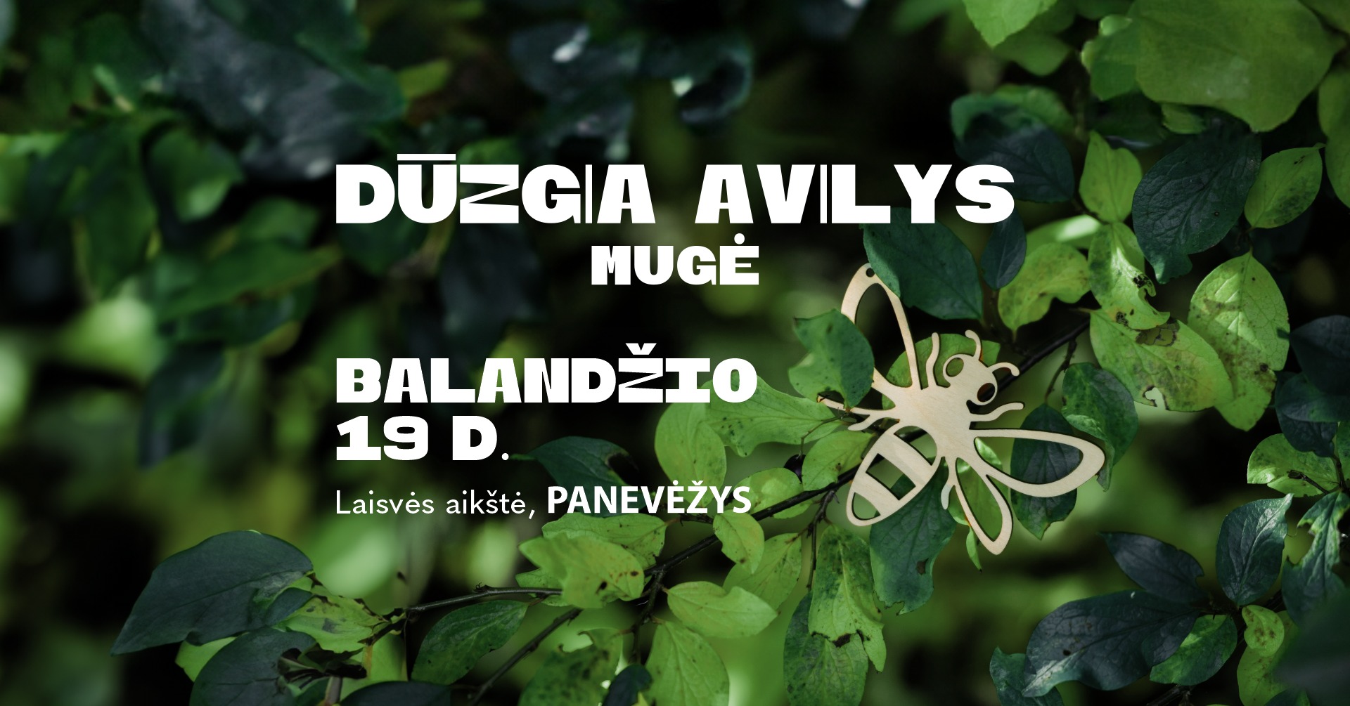 Mugė DŪZGIA AVILYS Panevėžyje