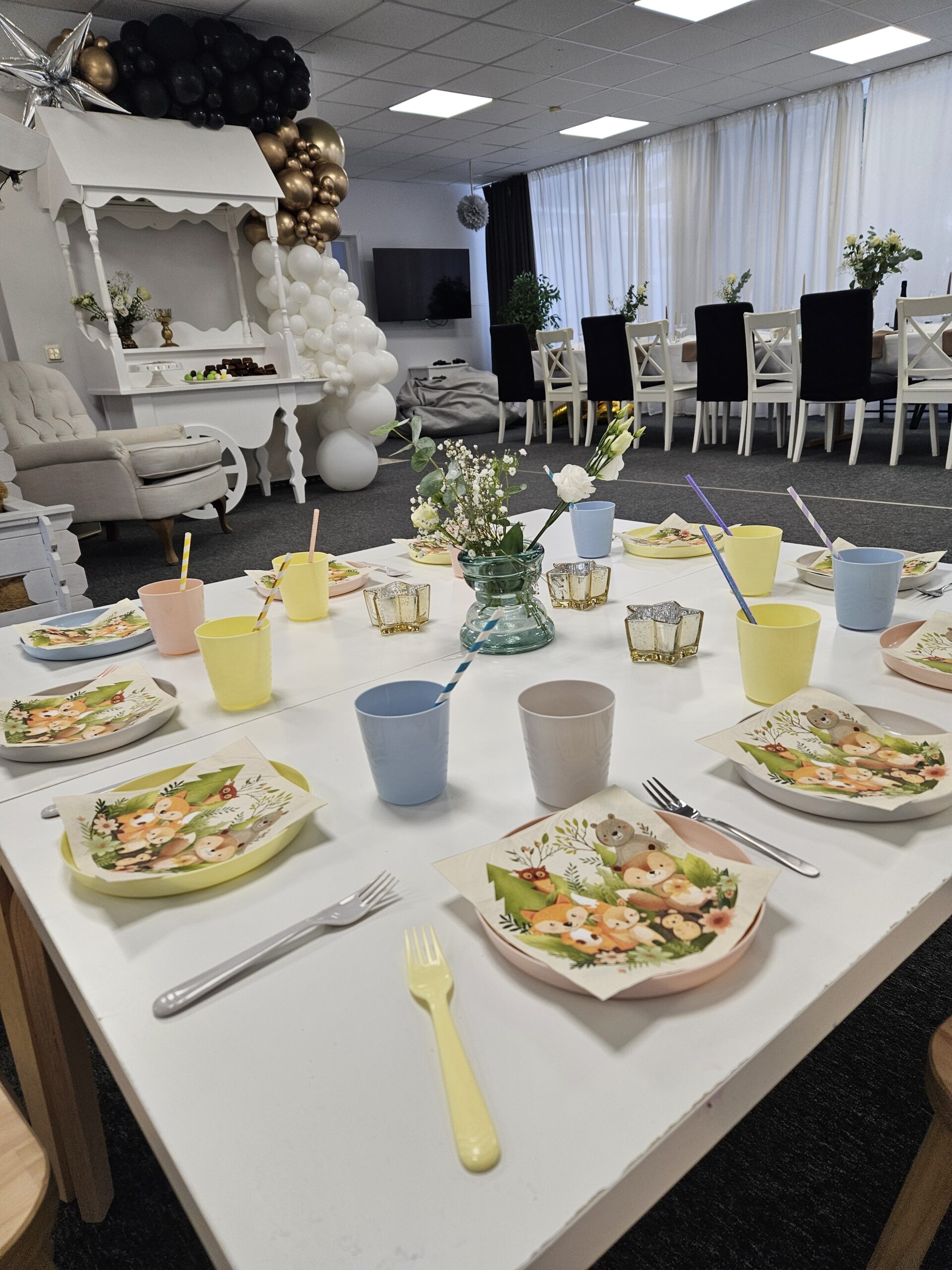 Vaikų gimtadienis švenčių studijoje Kaune