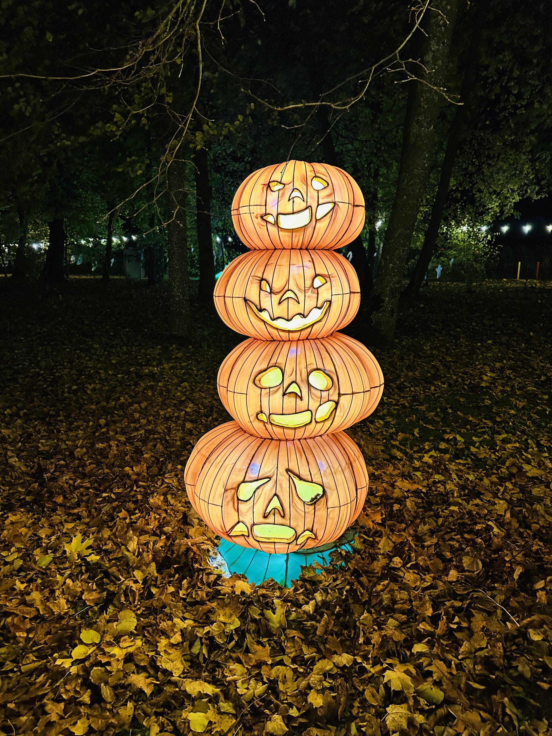 Šviesų festivalis Bistrampolio dvare