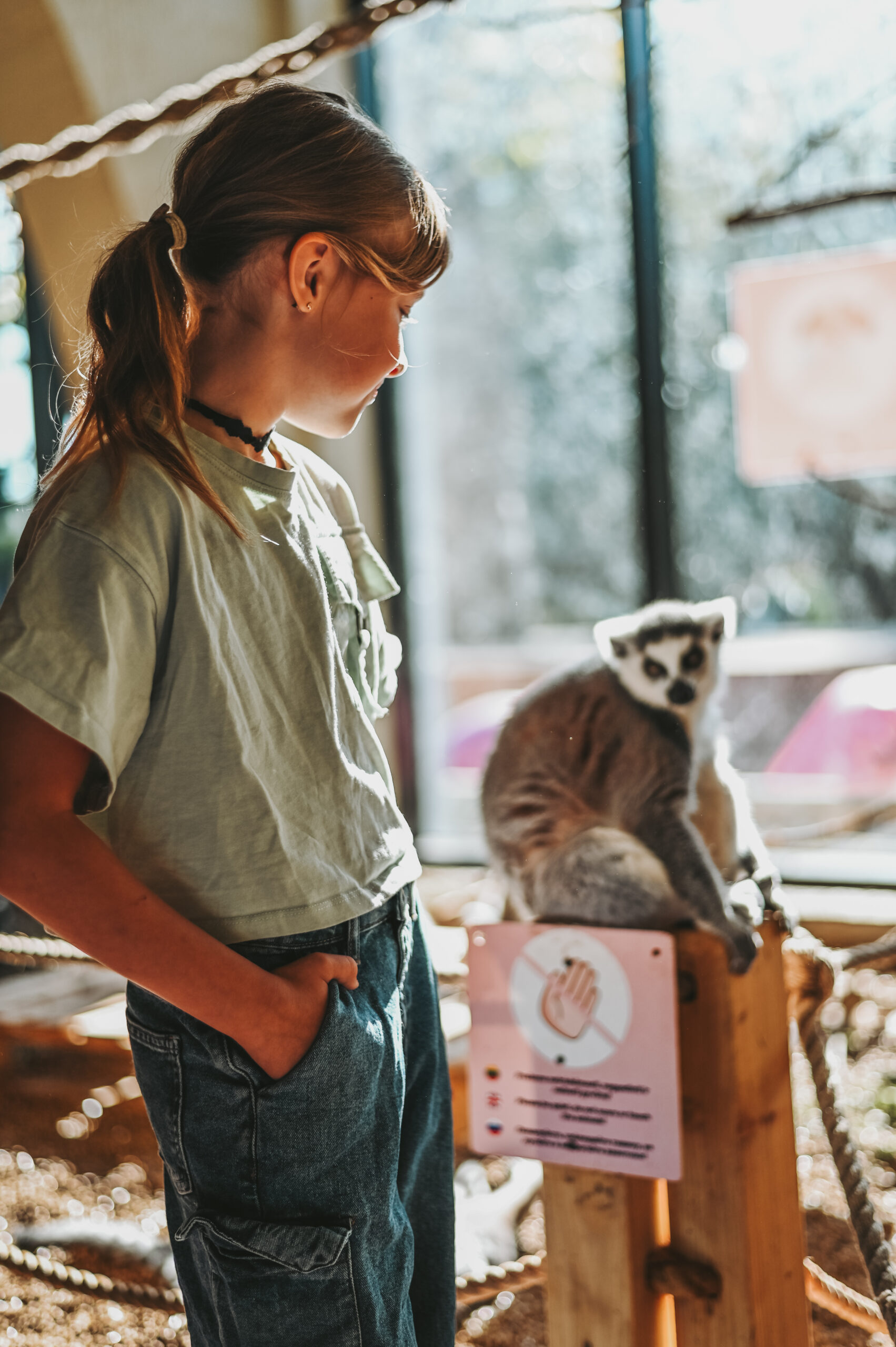 ZOOPARK dienos stovyklos Vilniuje