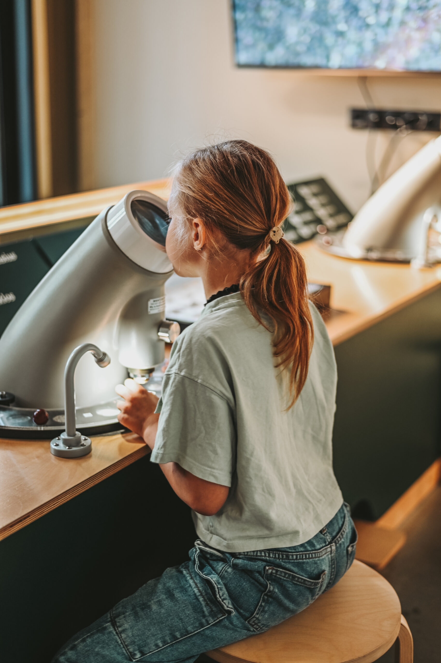 ZOOPARK dienos stovyklos Vilniuje