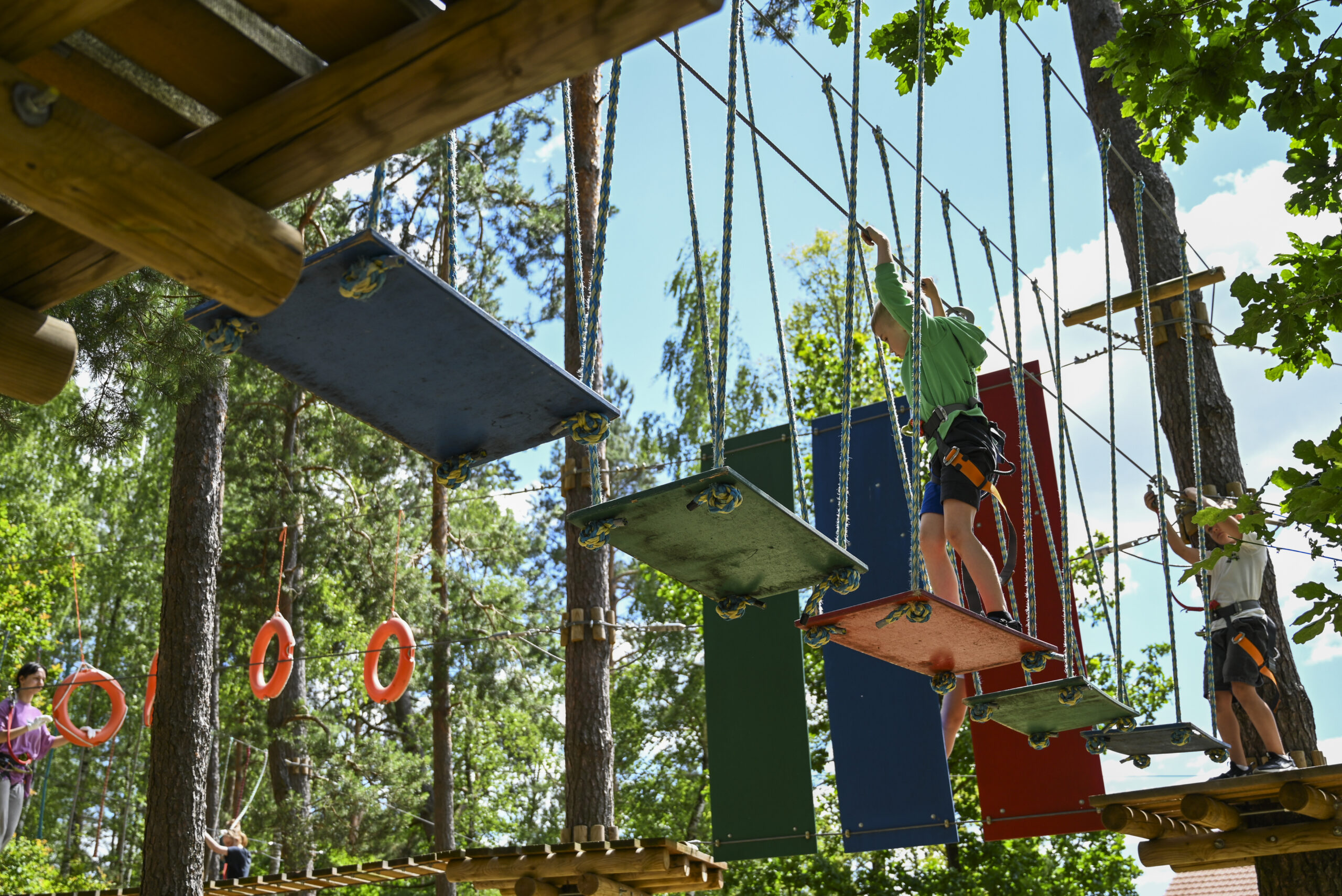 Tarzanija nuotykių parko stovykla "Laisvė būti vaiku"