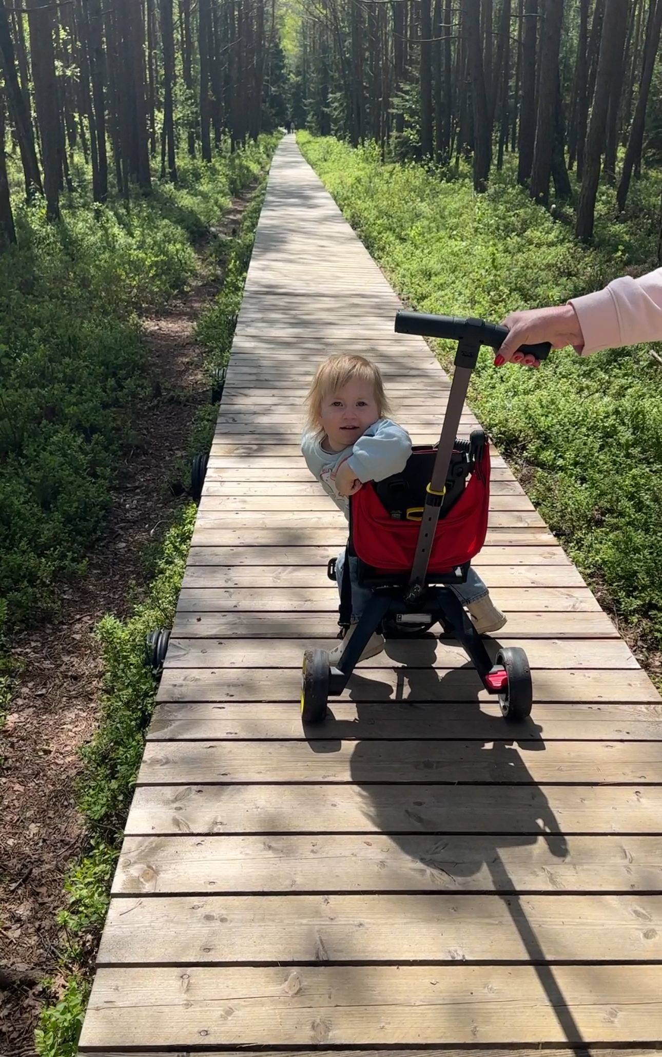 Daugiau nei 50 lankytinų vietų gamtoje, kurios pritaikytos šeimoms net ir su kūdikiais