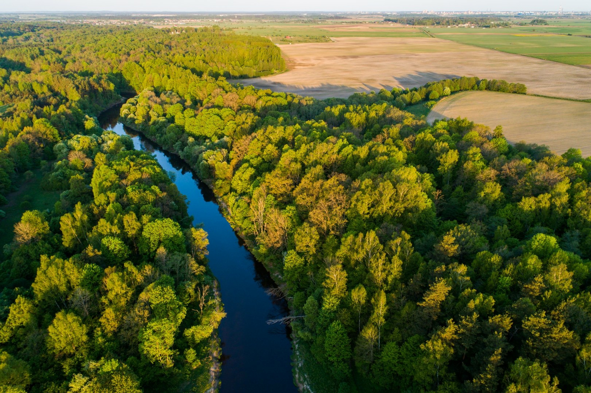 Dovilų piliakalnio apylinkės