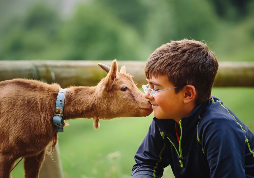Edukacijos su gyvūnais Kauno apskrityje - puiki idėja mokykloms ir darželiams