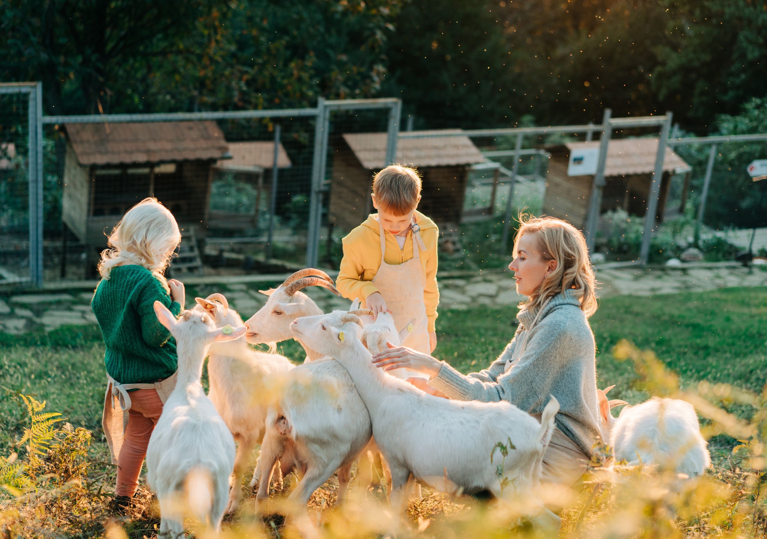 Edukacijos su gyvūnais Kauno apskrityje - puiki idėja mokykloms ir darželiams