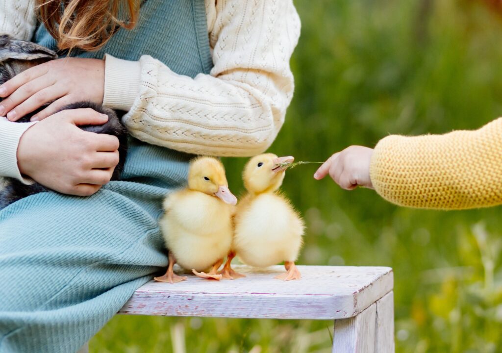 Edukacijos su gyvūnais Vilniaus apskrityje - puiki idėja mokykloms ir darželiams