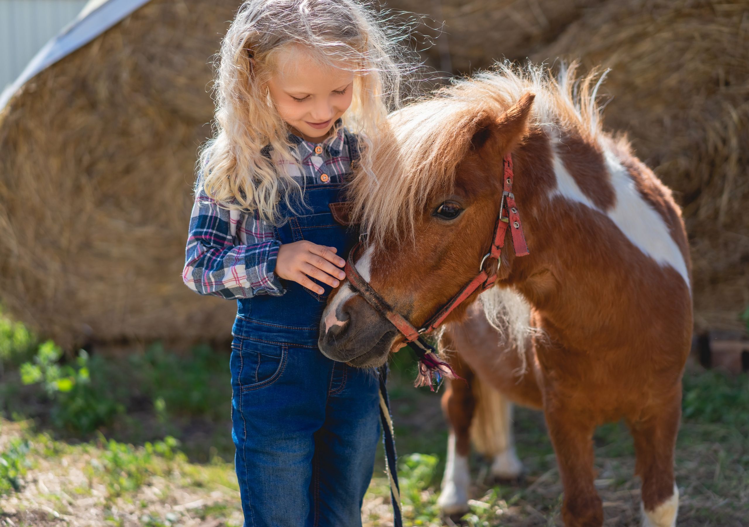Edukacijos su gyvūnais Vilniaus apskrityje - puiki idėja mokykloms ir darželiams