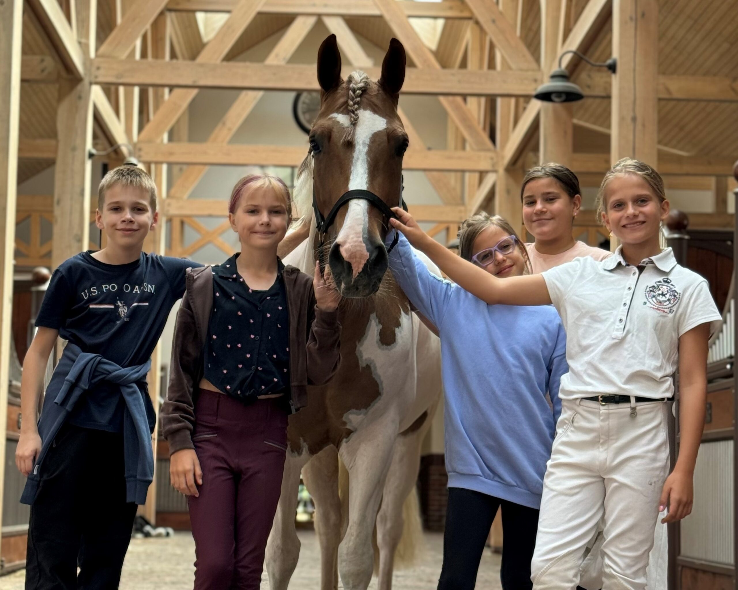 Atraskite žirgų pasaulį: ekskursijos ir edukacijos vaikams Royal Horse Resort
