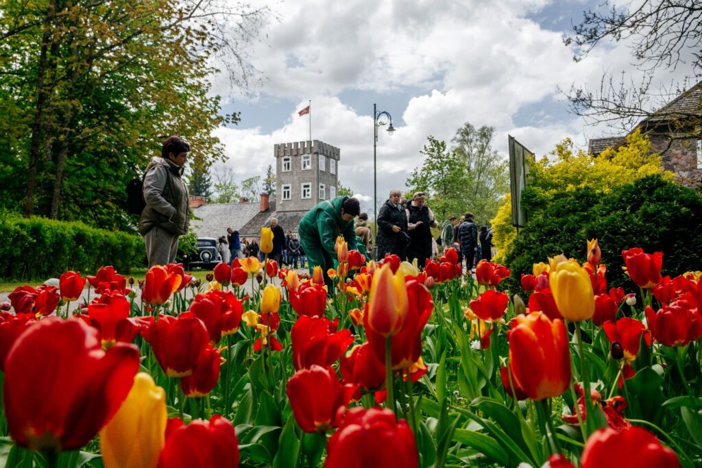 Tulpių žydėjimo šventė Burbiškio dvare 2026