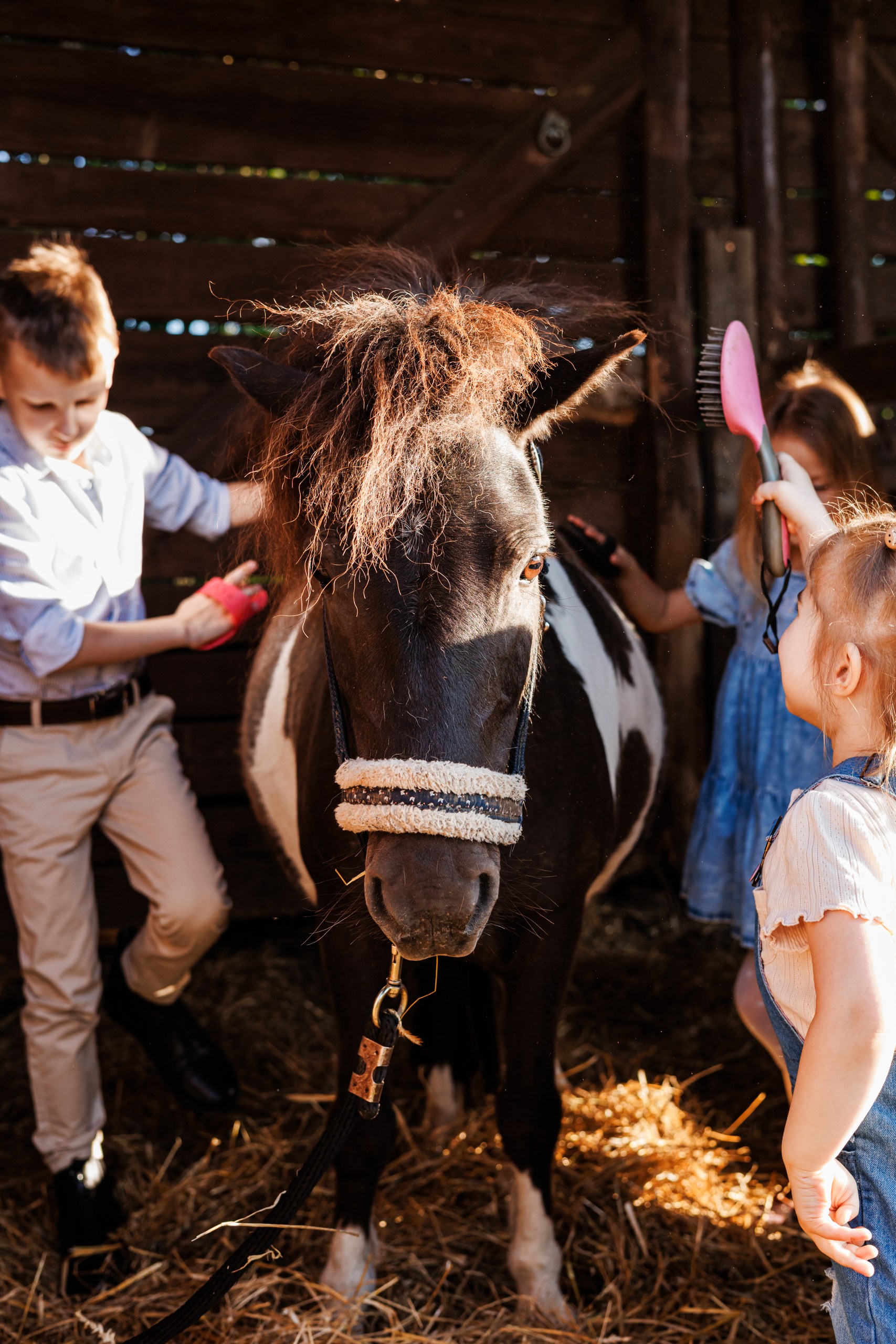 Ponių ranča vasaros stovyklos
