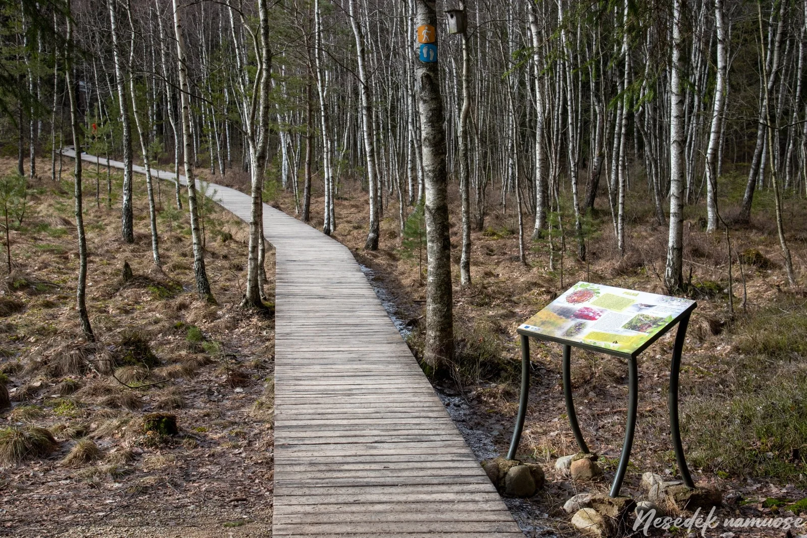 Germanto ežero pažintinis takas (nuotr. iš „Nesėdėk namuose“ svetainės)