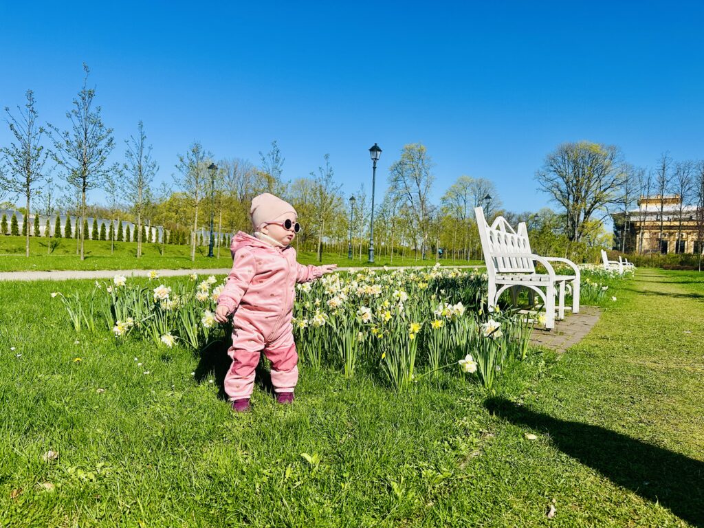 Pavasaris jau čia: gražiausios vietos pirmiesiems pasivaikščiojimams gamtoje