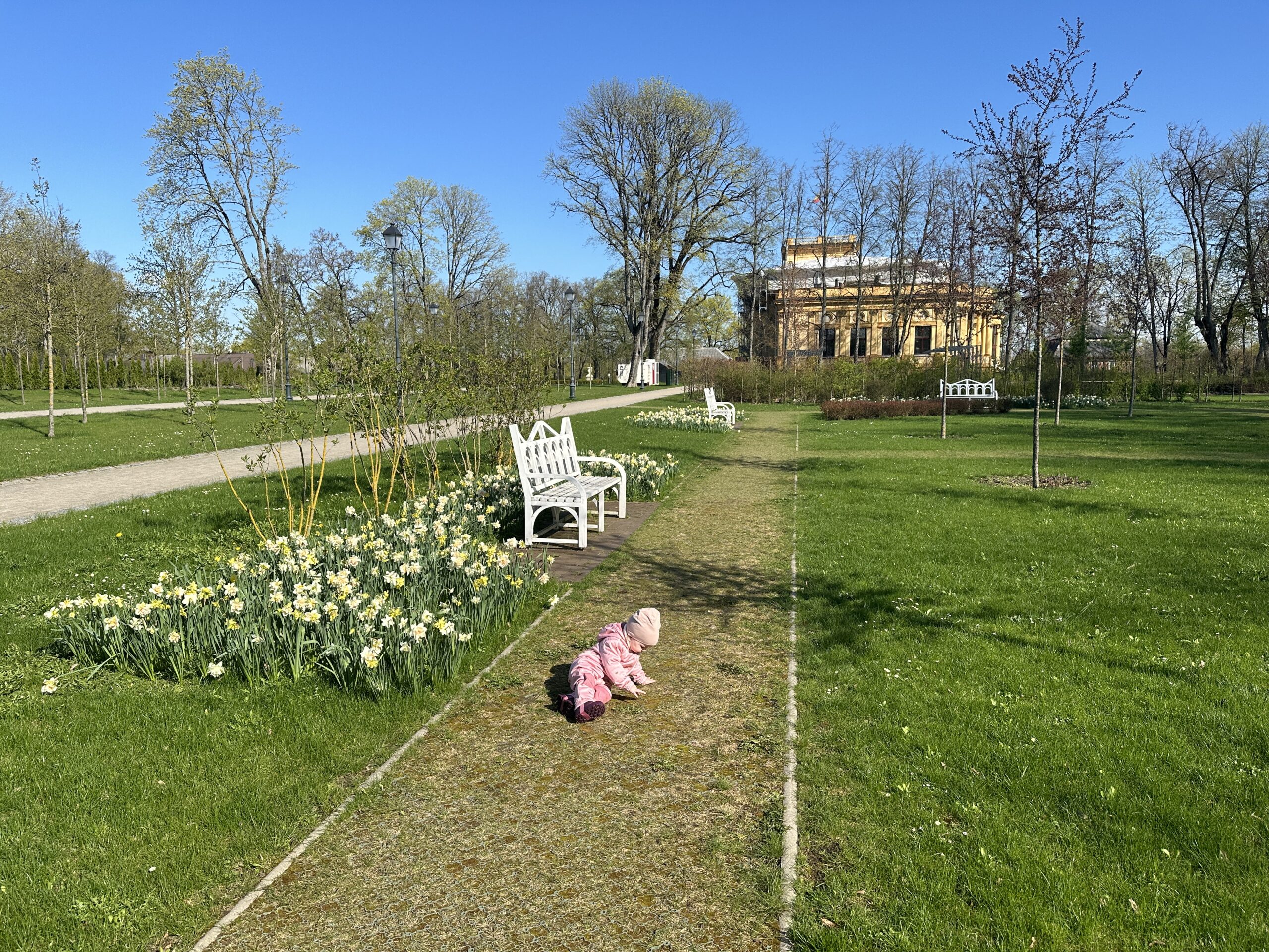 Pavasaris jau čia: gražiausios vietos pirmiesiems pasivaikščiojimams gamtoje