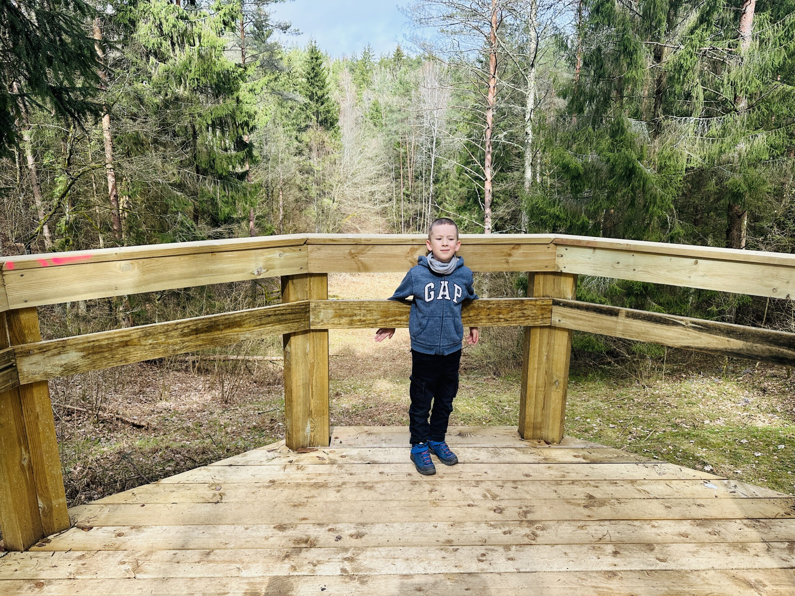 Pavasaris jau čia: gražiausios vietos pirmiesiems pasivaikščiojimams gamtoje