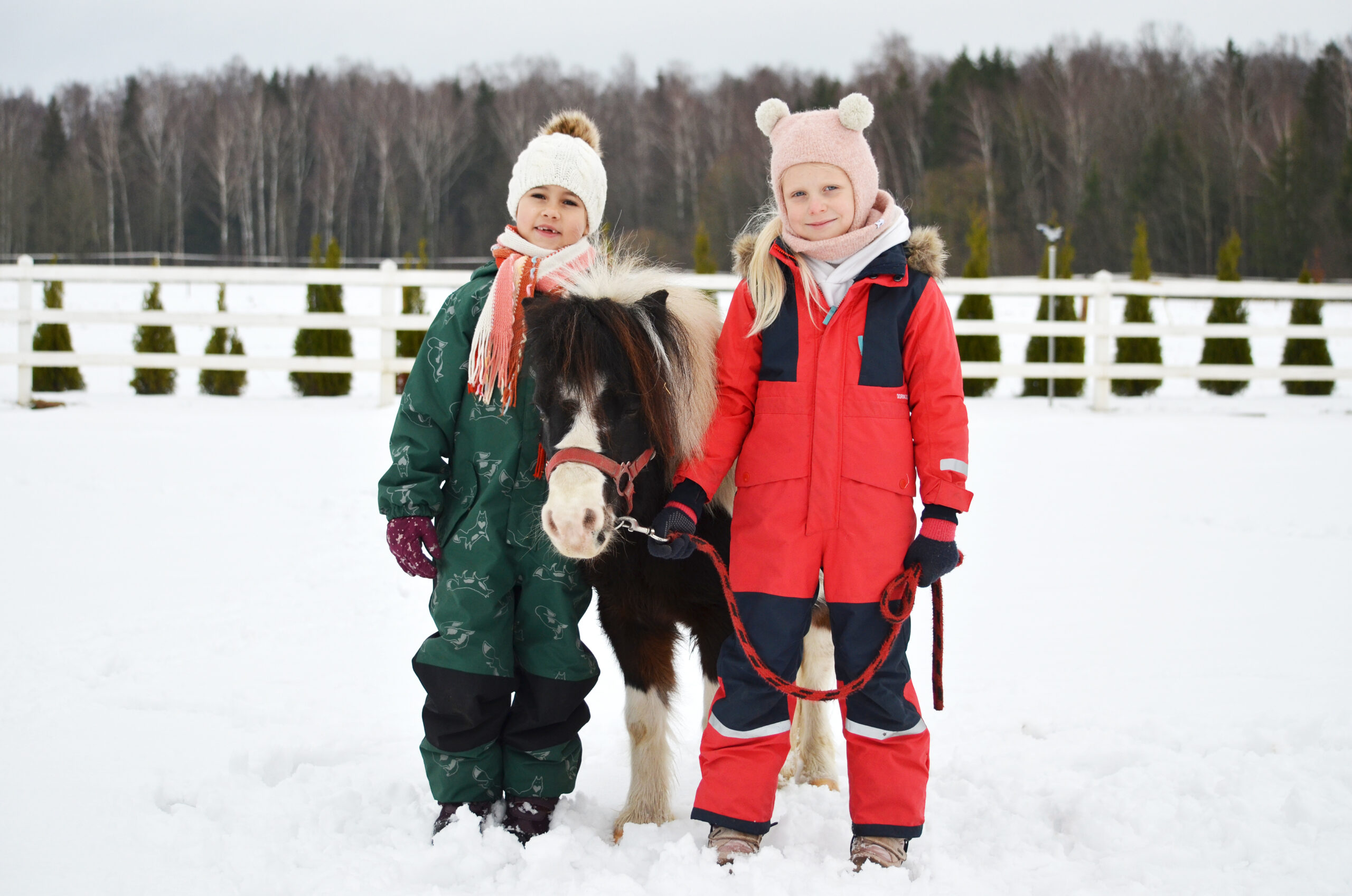 Margas Ponis žiemą