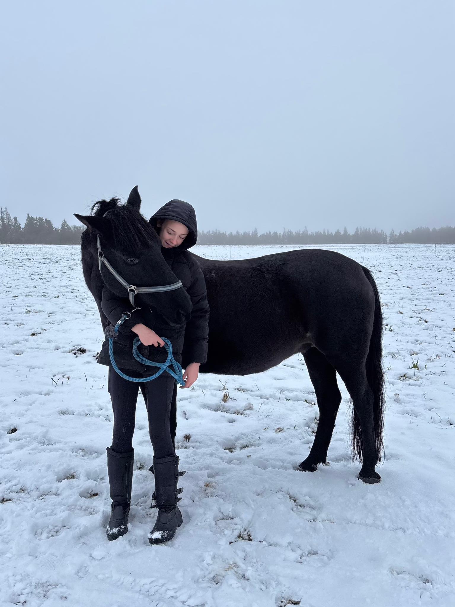 Rietavo žirgynas žiemą